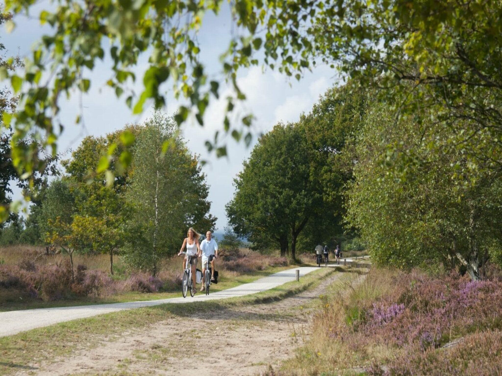 De omgeving van Forest doglodge with enclosed garden I 4 people in Rijssen