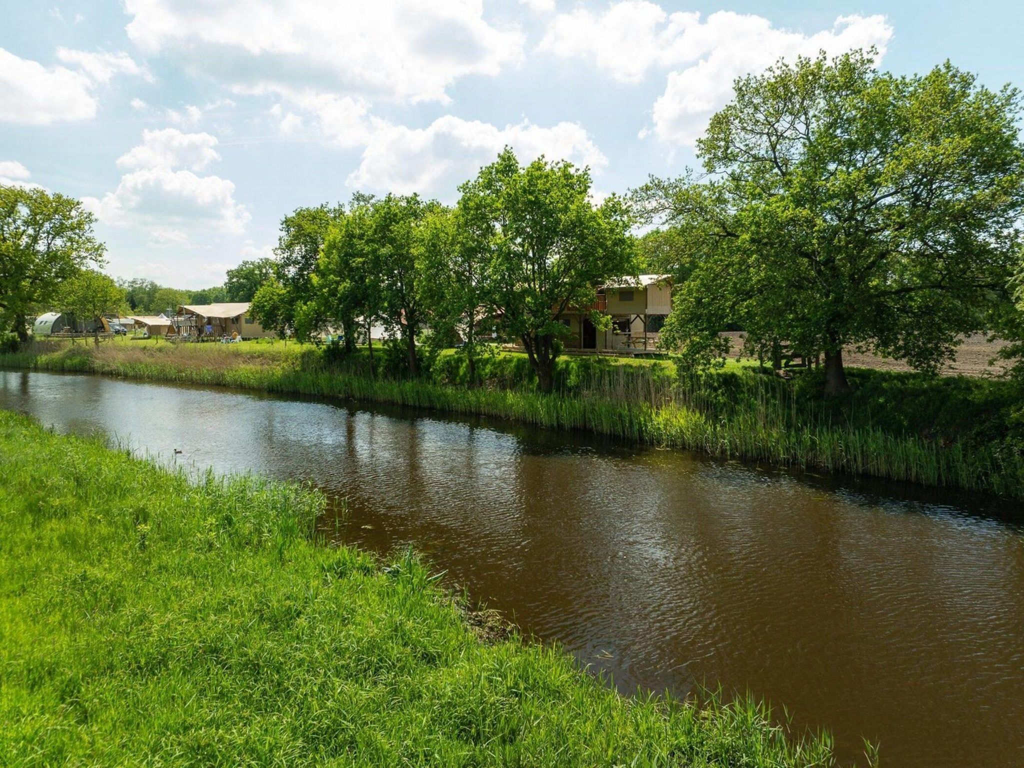 Treehouse tent at the Regge with private sanitary facilities | 6 people in Zuna - Foto 25 van 28