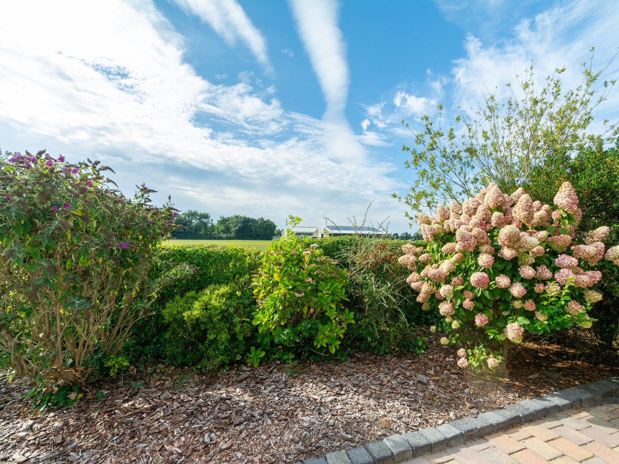 Het terras van Yperhof 3 in Julianadorp aan Zee