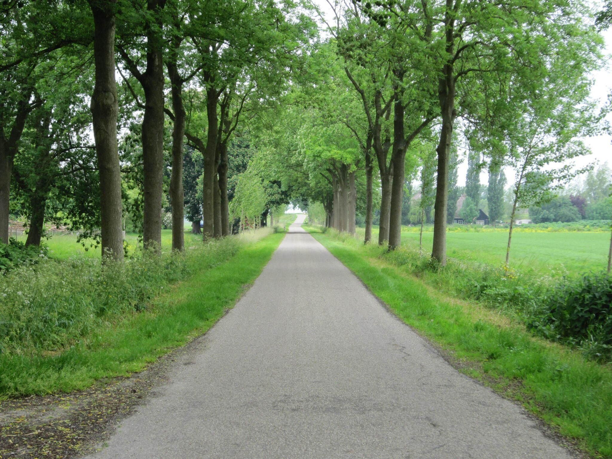 BELLEVUE in Noordbeemster - Foto 32 van 39