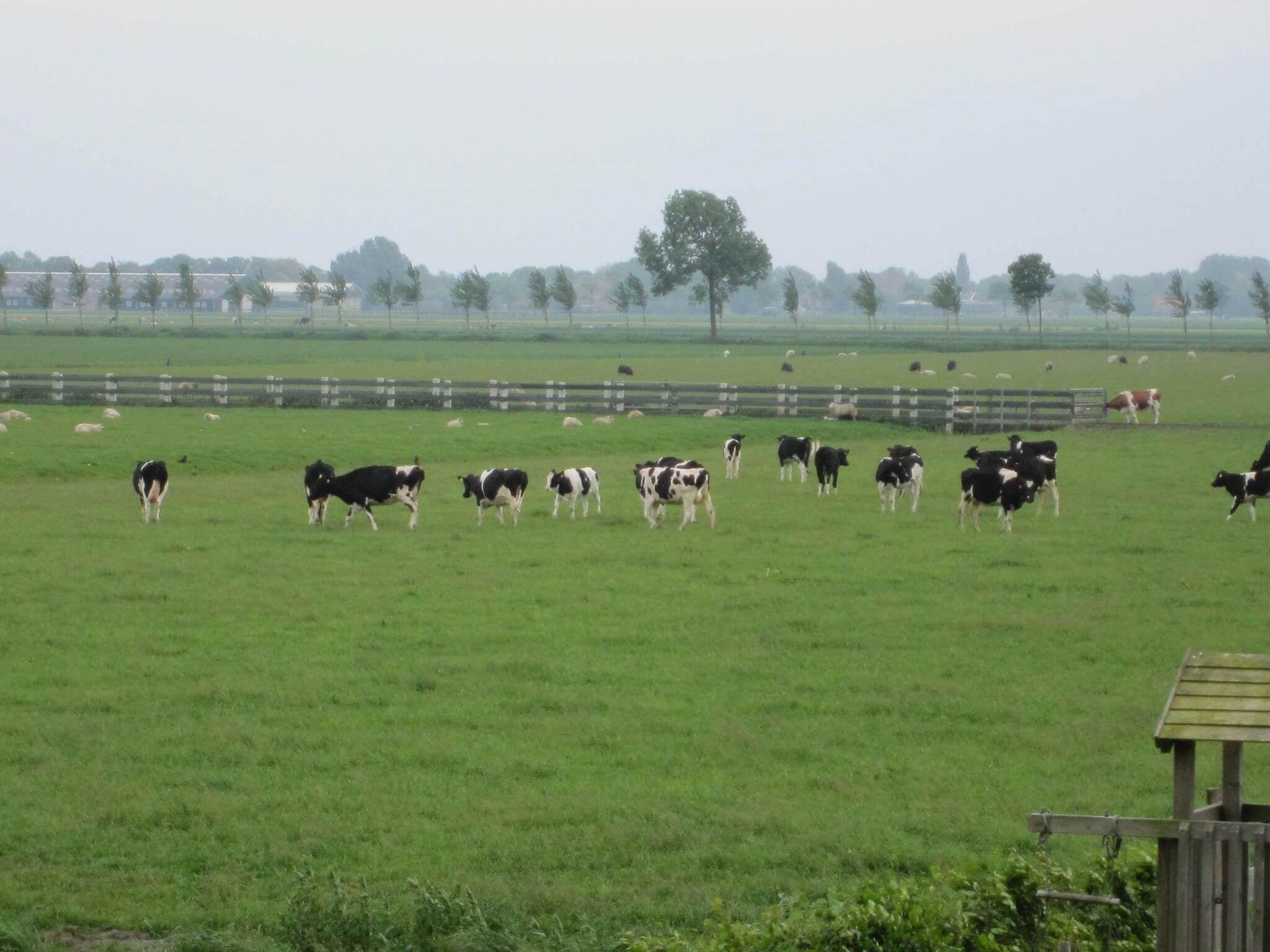 BELLEVUE in Noordbeemster - Foto 34 van 39