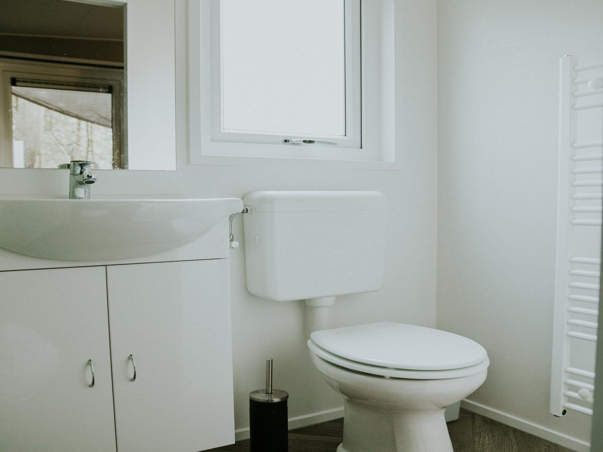 De badkamer van Happy bee lodge l 5 persons in Balkbrug