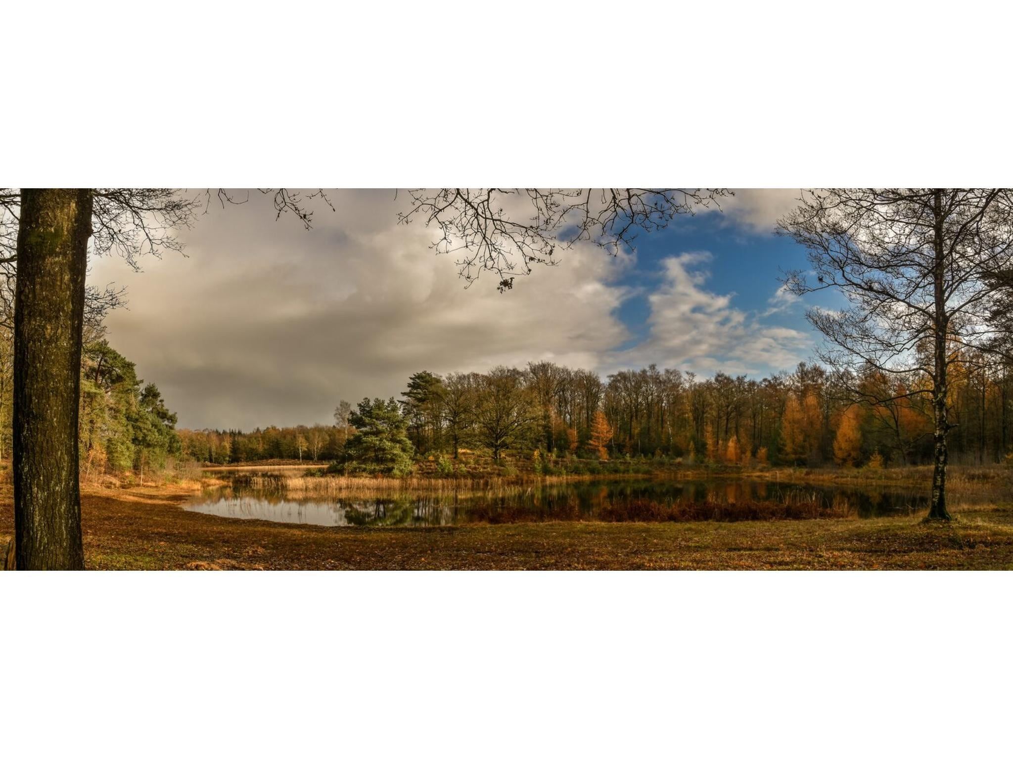 Boslodge l 4 persons in Balkbrug - Foto 32 van 33