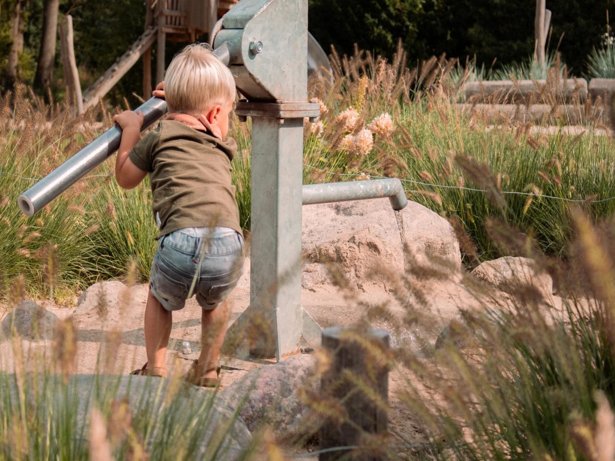 Parkfaciliteiten bij Safaritent | 6 persoons in Balkbrug