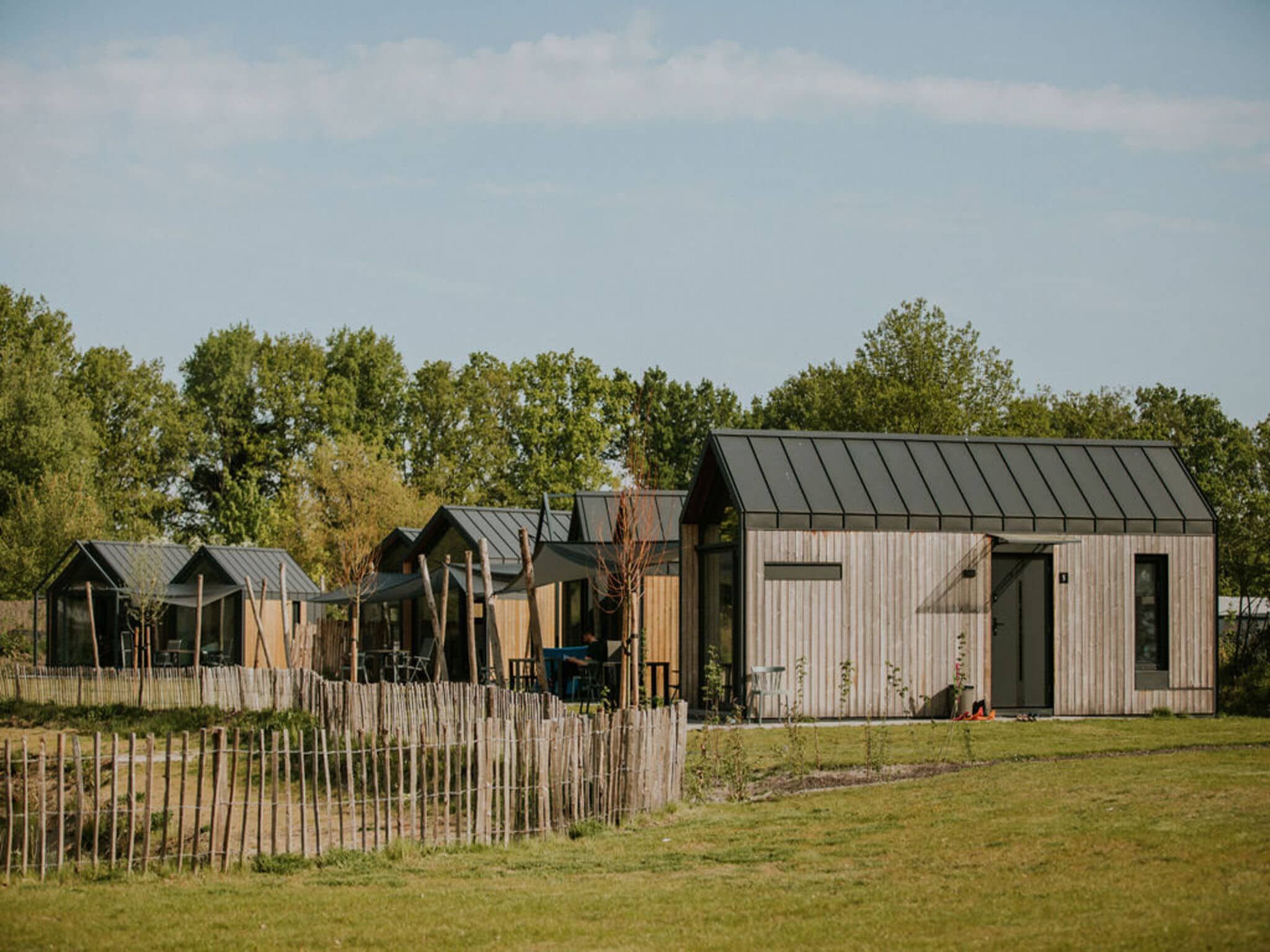 De tuin van Cosy house | 4 persoons in Balkbrug