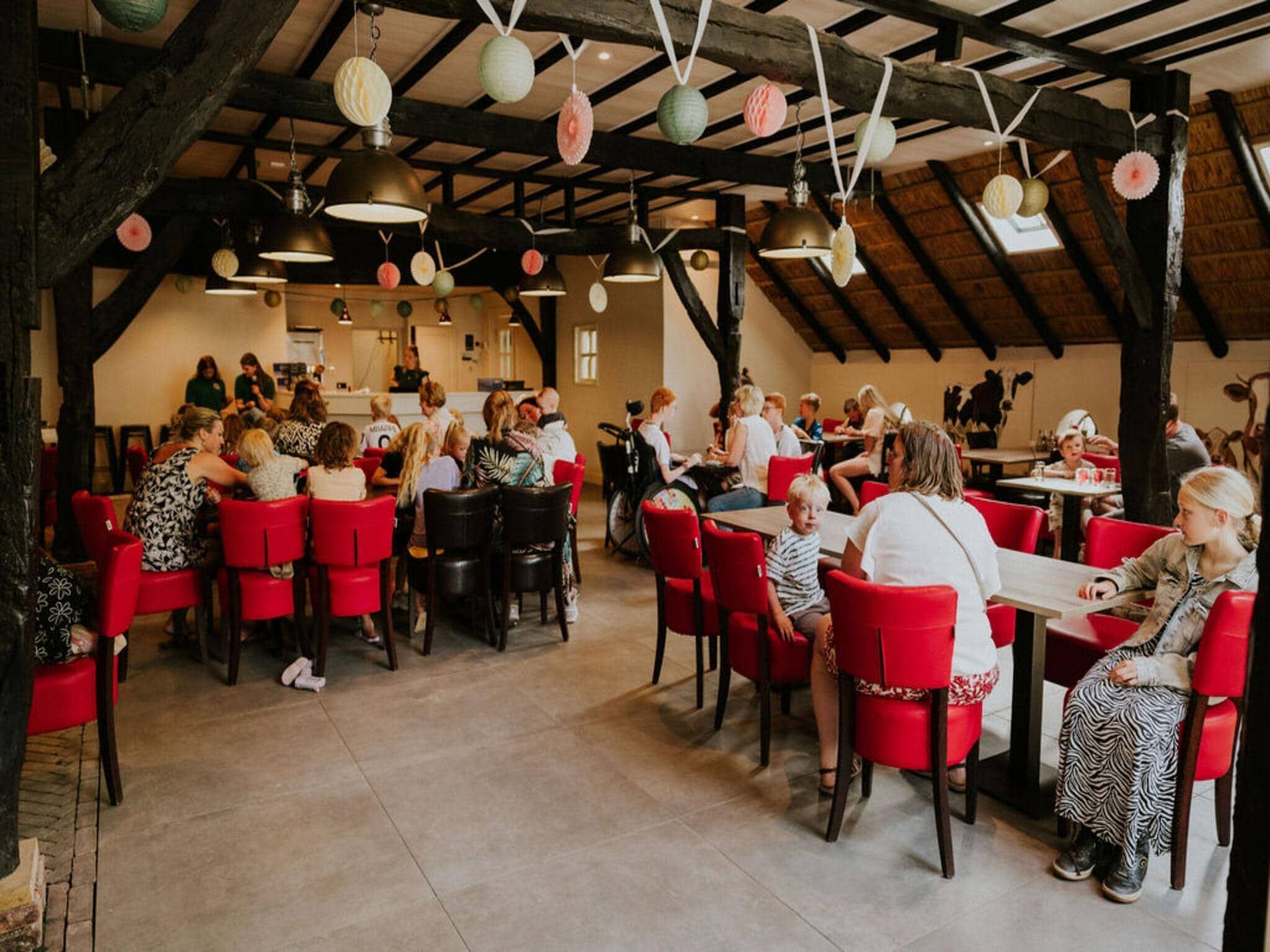 Parkfaciliteiten bij Cosy house | 4 persoons in Balkbrug