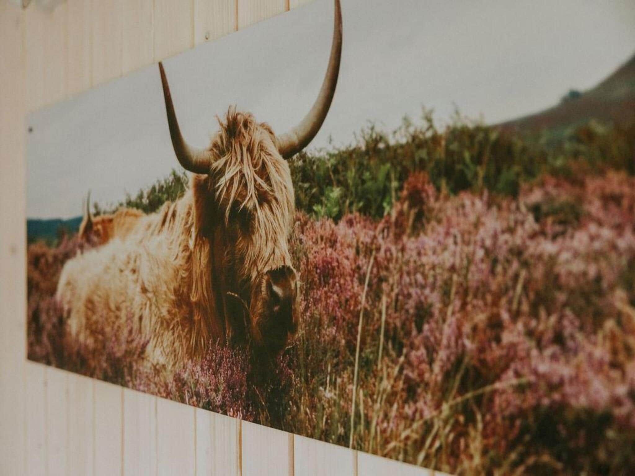 Sfeerbeeld van Tiny house XL | 2-4 persoons in Balkbrug