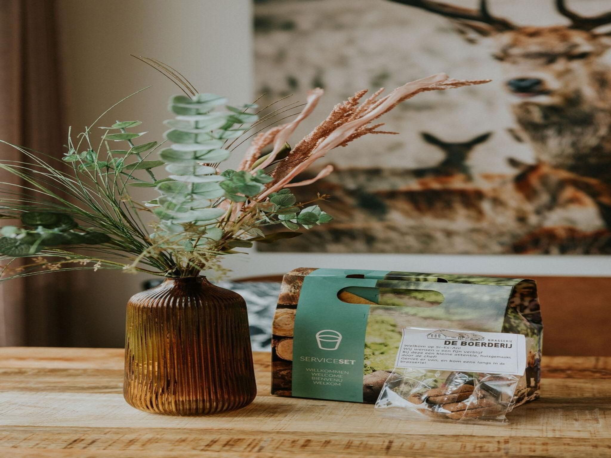 Sfeerbeeld van Tiny house XL | 2-4 persoons in Balkbrug