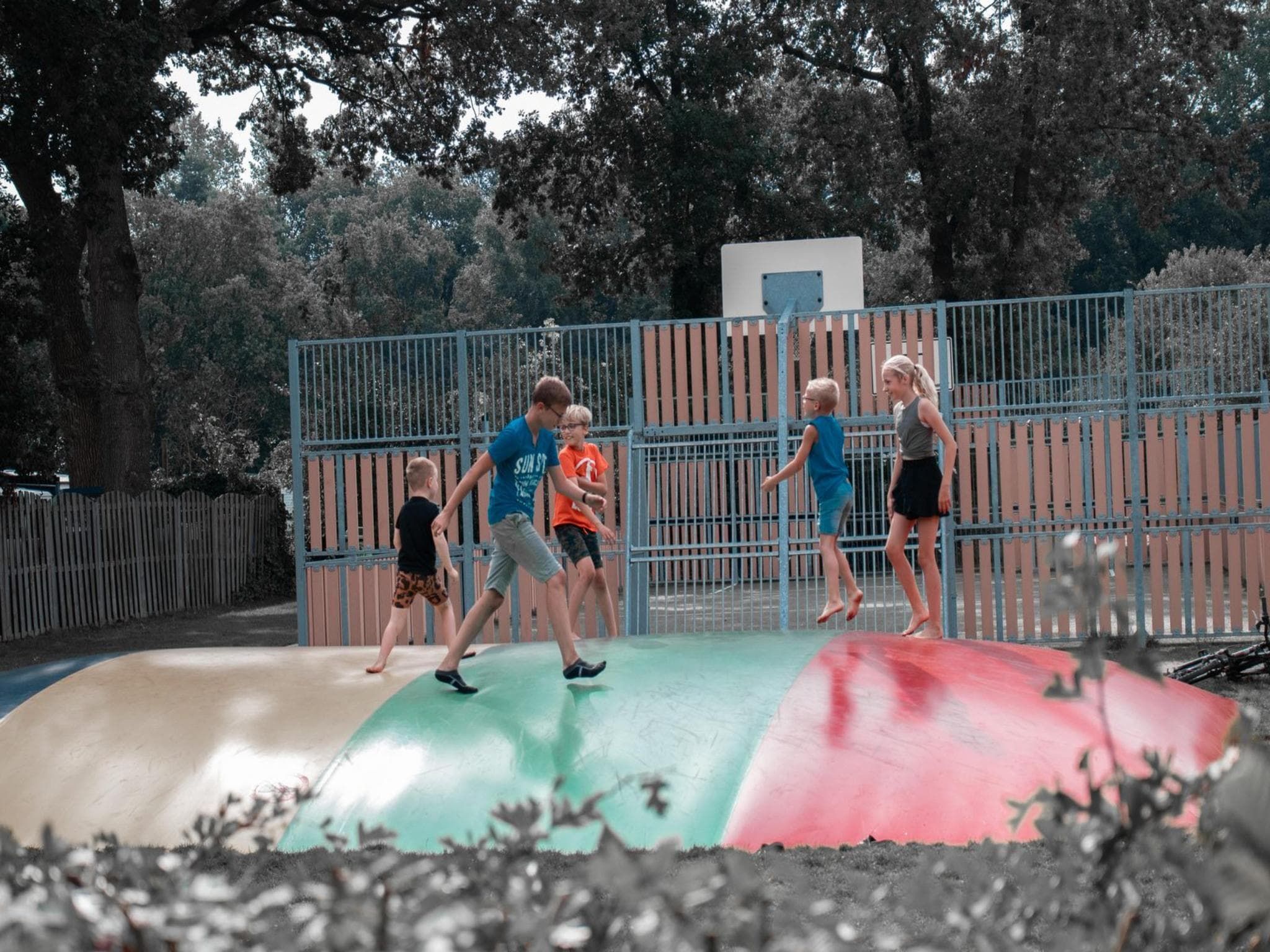 Parkfaciliteiten bij Cosy Lodge | 6 persoons in Balkbrug