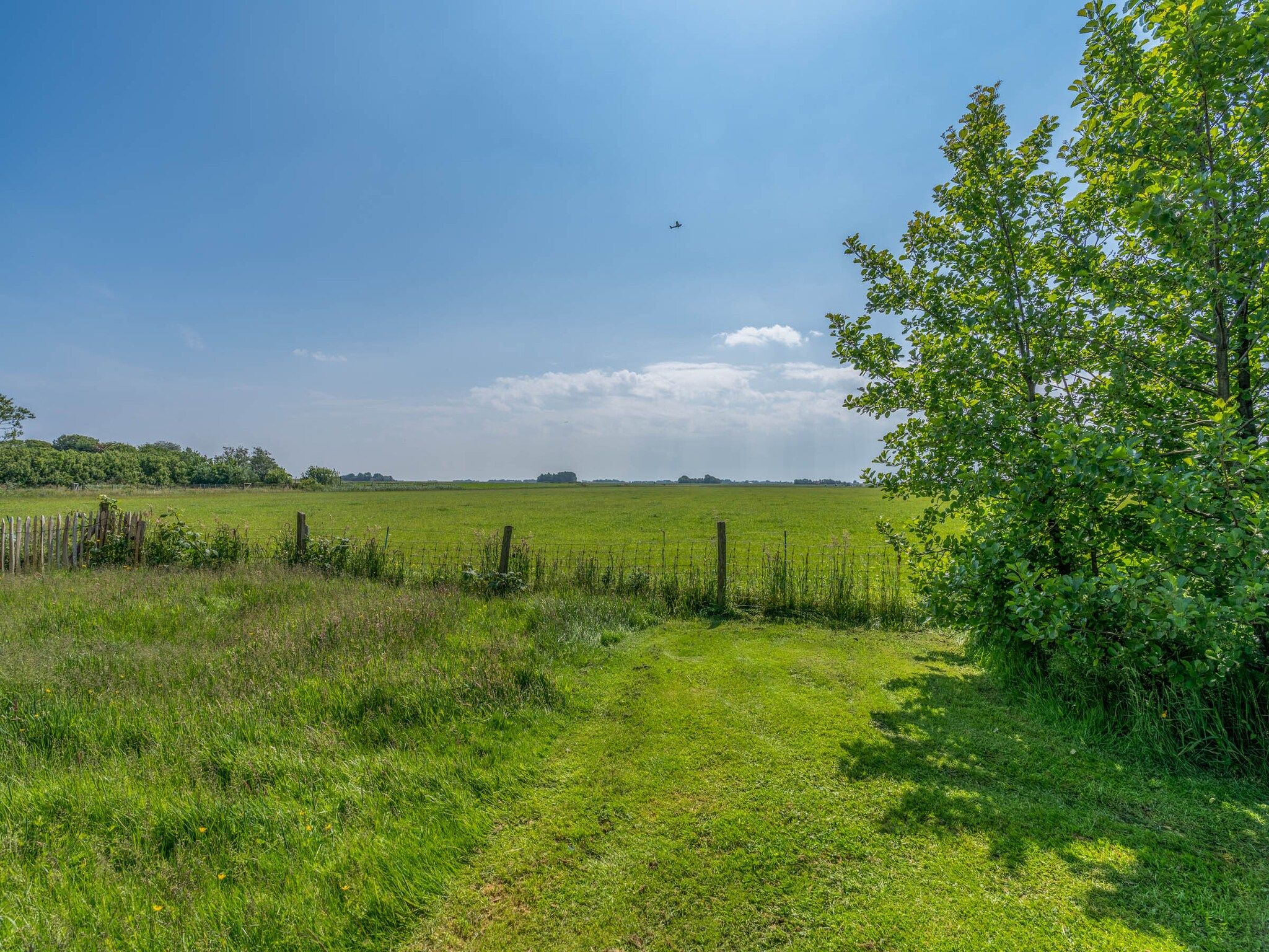 De tuin van Postweg 50 in De Cocksdorp