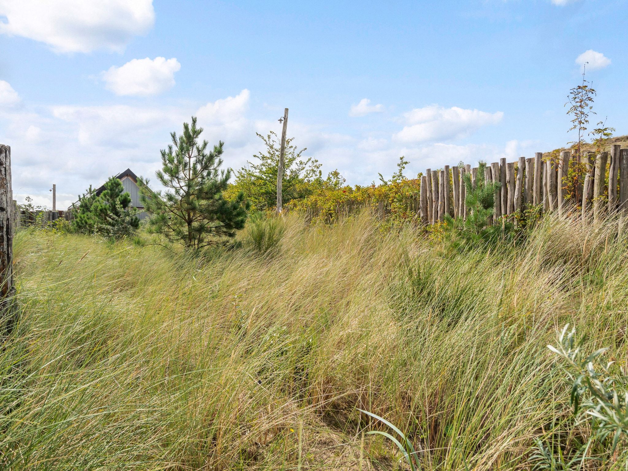 De omgeving van Apartment Zand | 4 Persons in Sint Maartenszee