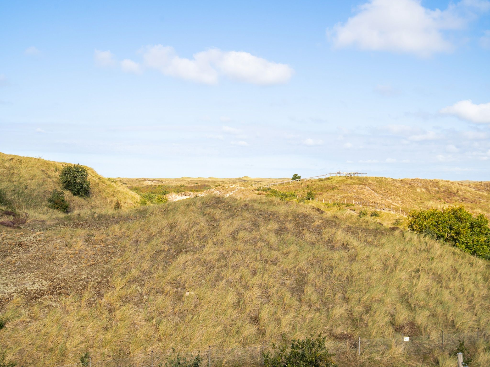 De omgeving van Penthouse Zilt | 6 Persons in Sint Maartenszee