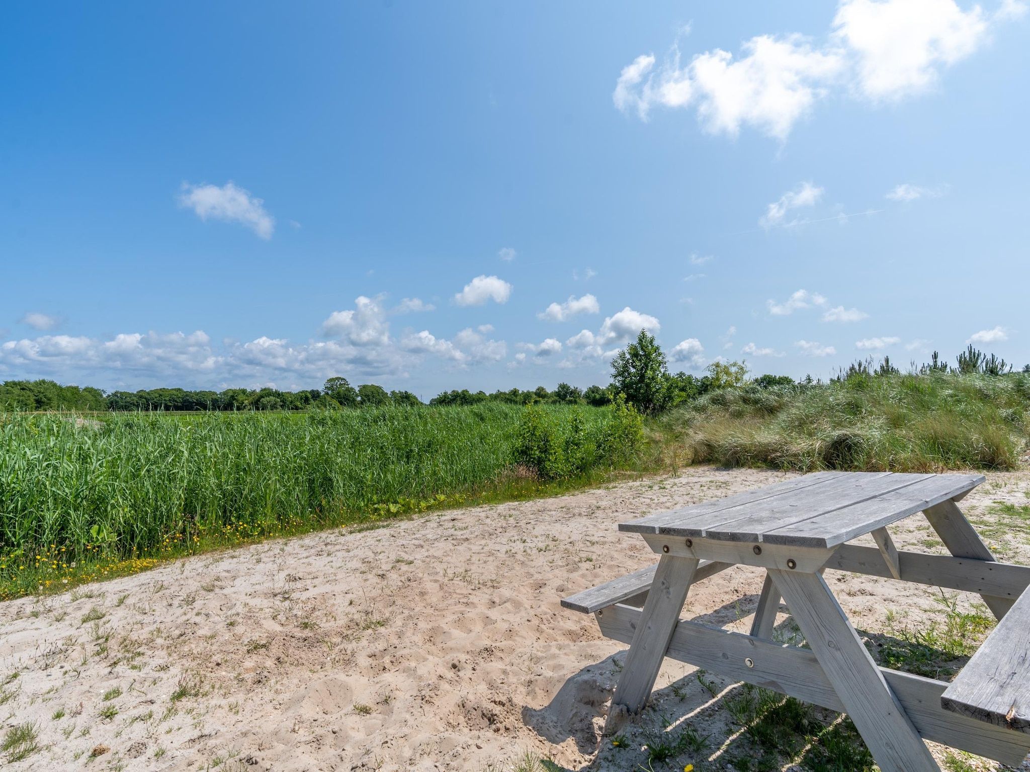 De tuin van Strandvilla Hygge in Den Burg