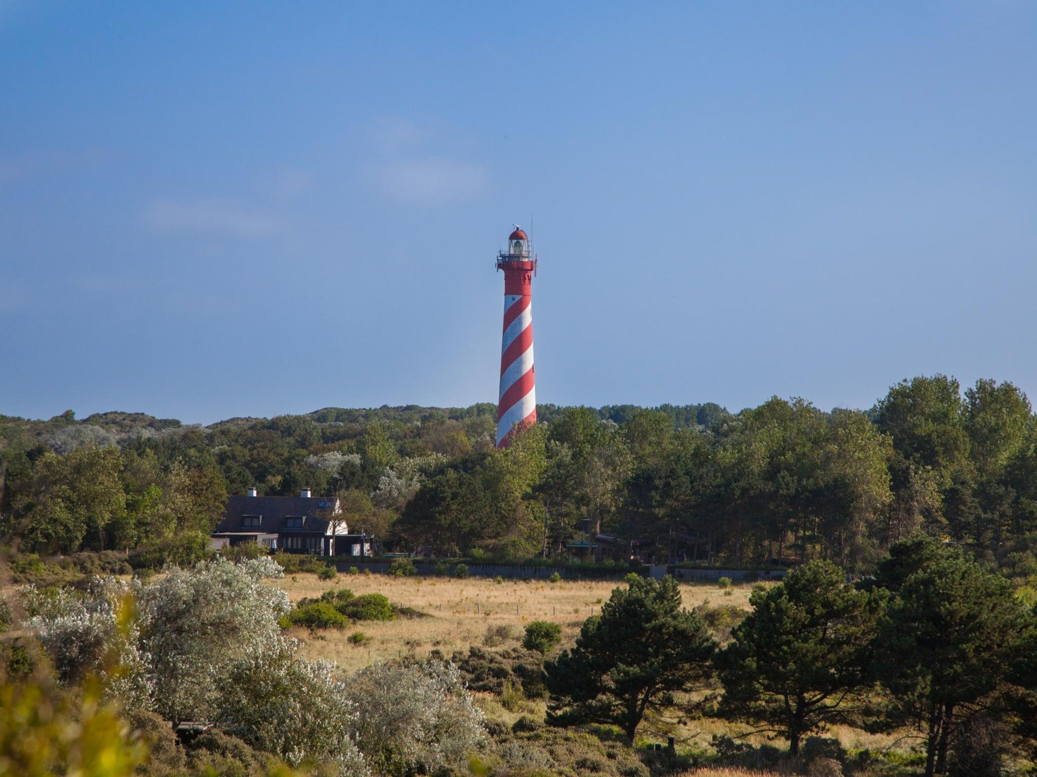 De omgeving van Zonnedorp Kavel 10 Renesse | Villa near the Beach & with Spacious Garden in Renesse
