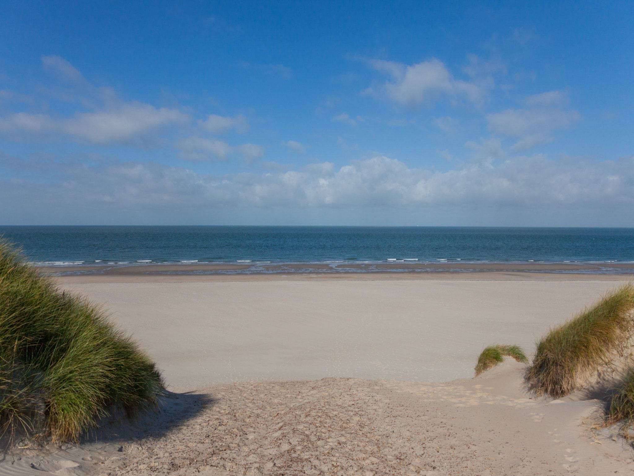 De omgeving van Zonnedorp 19 Modern holiday home Renesse | Beach within walking distance in Renesse