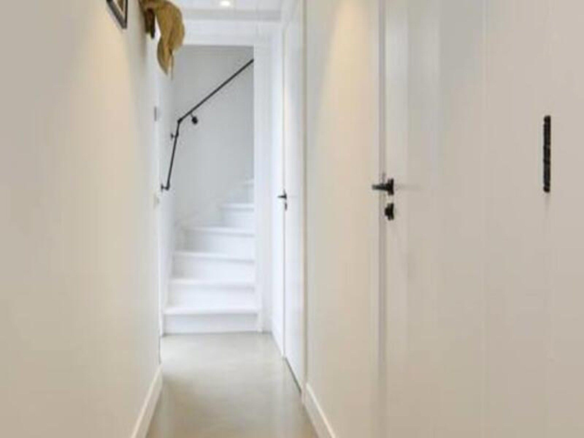 Endless Summer Beach in Zandvoort - Foto 13 van 24