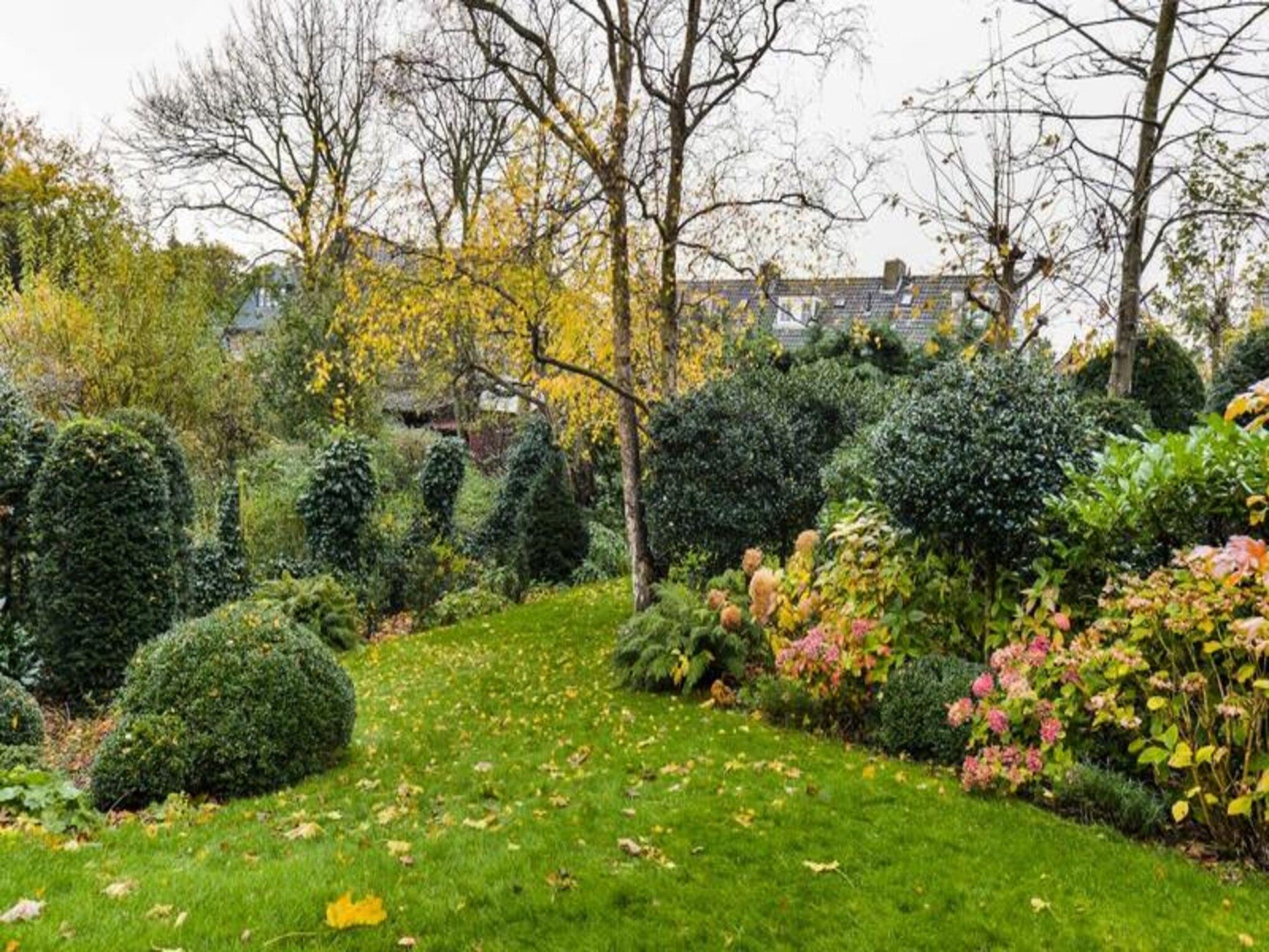 Luxury Garden View Apartment in Zandvoort - Foto 6 van 19