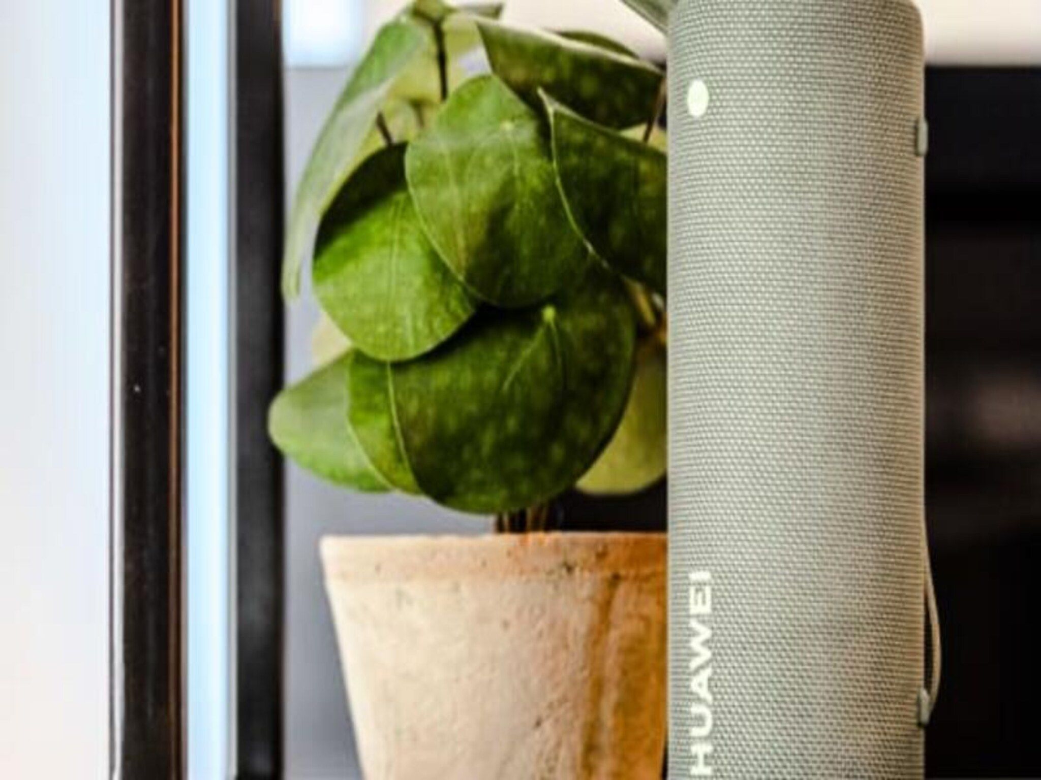 Oasis Zandvoort - Parking Gratuit in Zandvoort - Foto 19 van 60