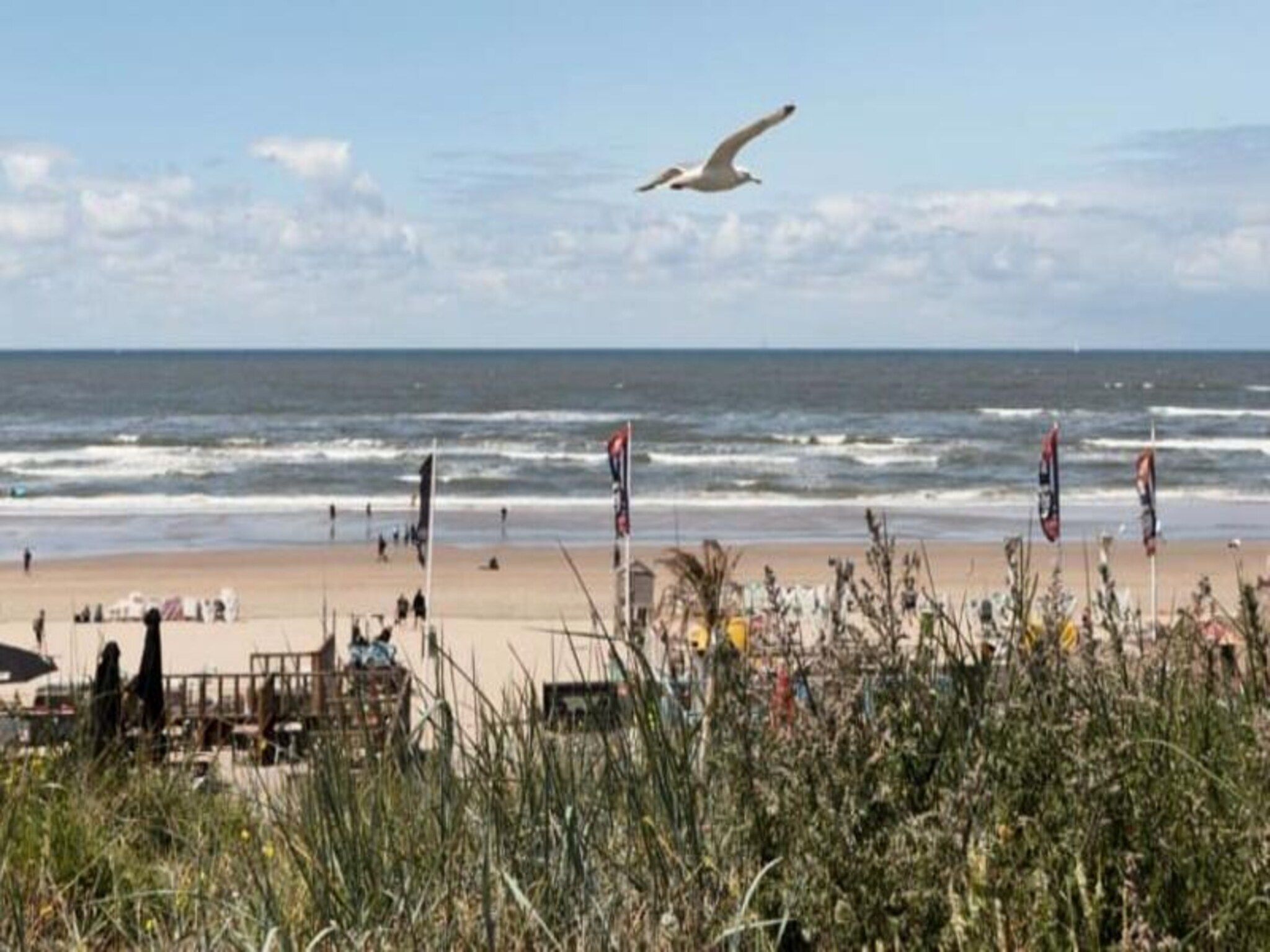 Oasis Zandvoort - Parking Gratuit in Zandvoort - Foto 45 van 60