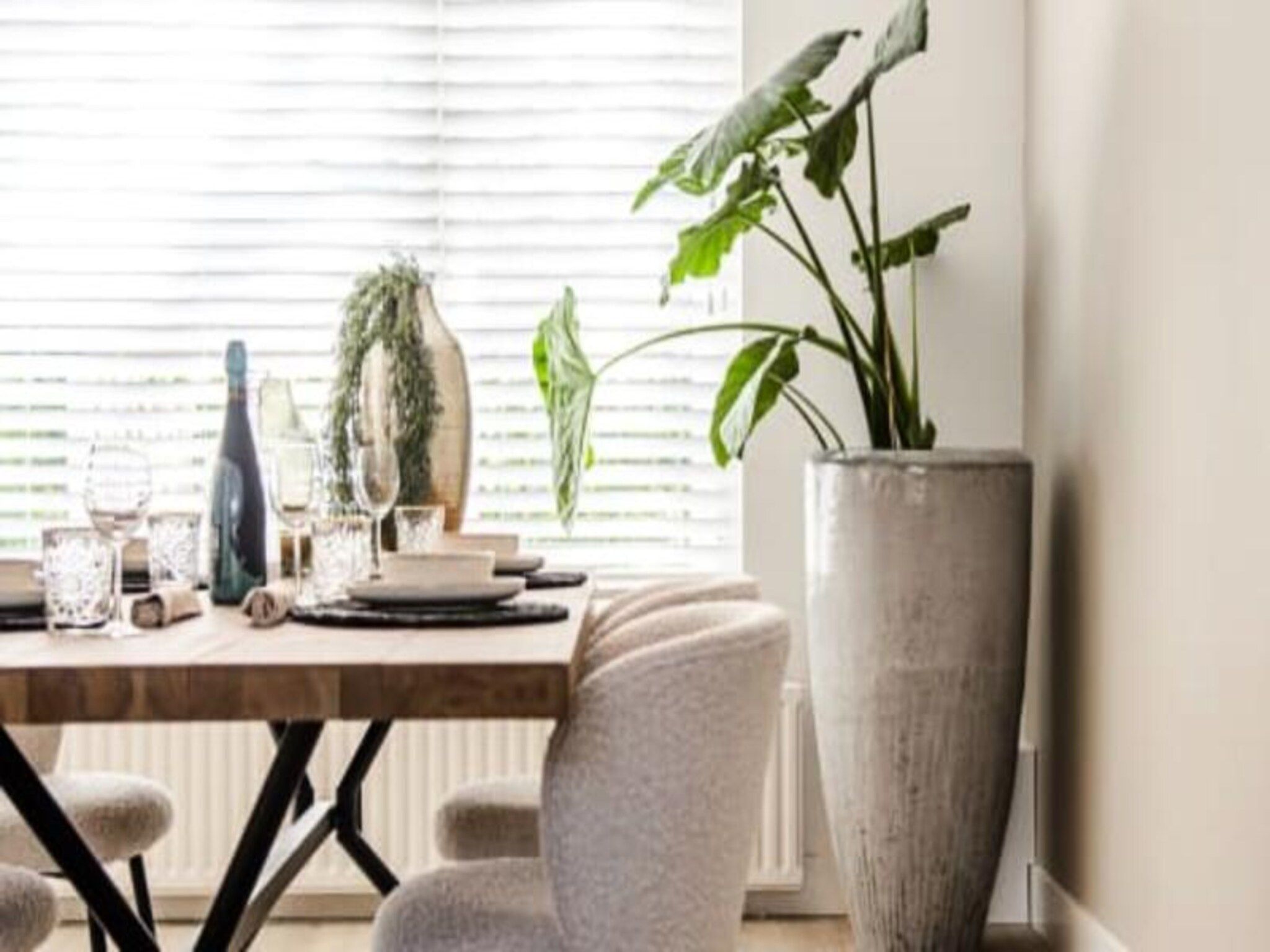 Marley&rsquo;s Beachhouse Apartment in Zandvoort - Foto 14 van 47