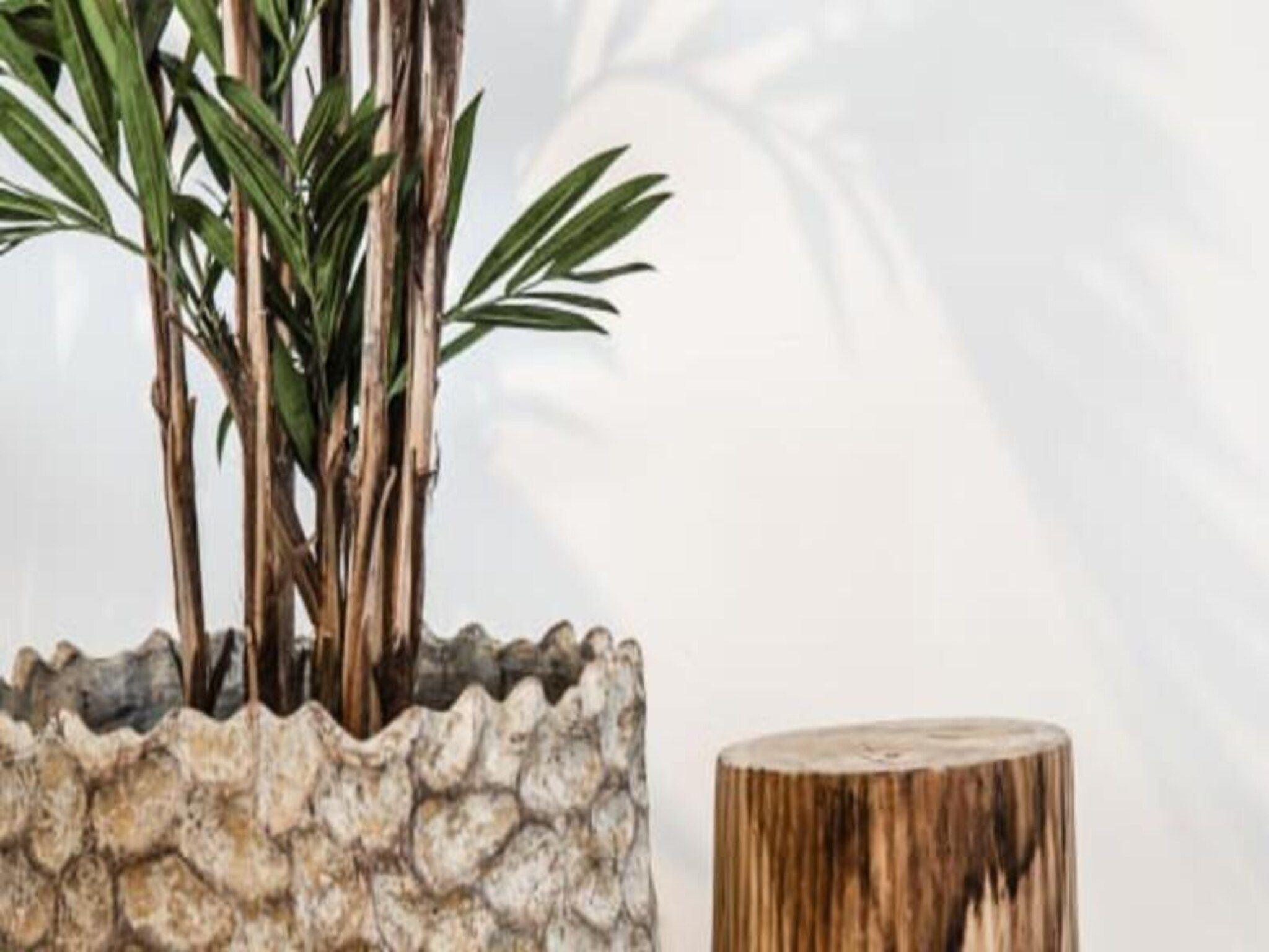 Yucca Beachhouse - Luxury Loft Apartment in Zandvoort - Foto 17 van 27