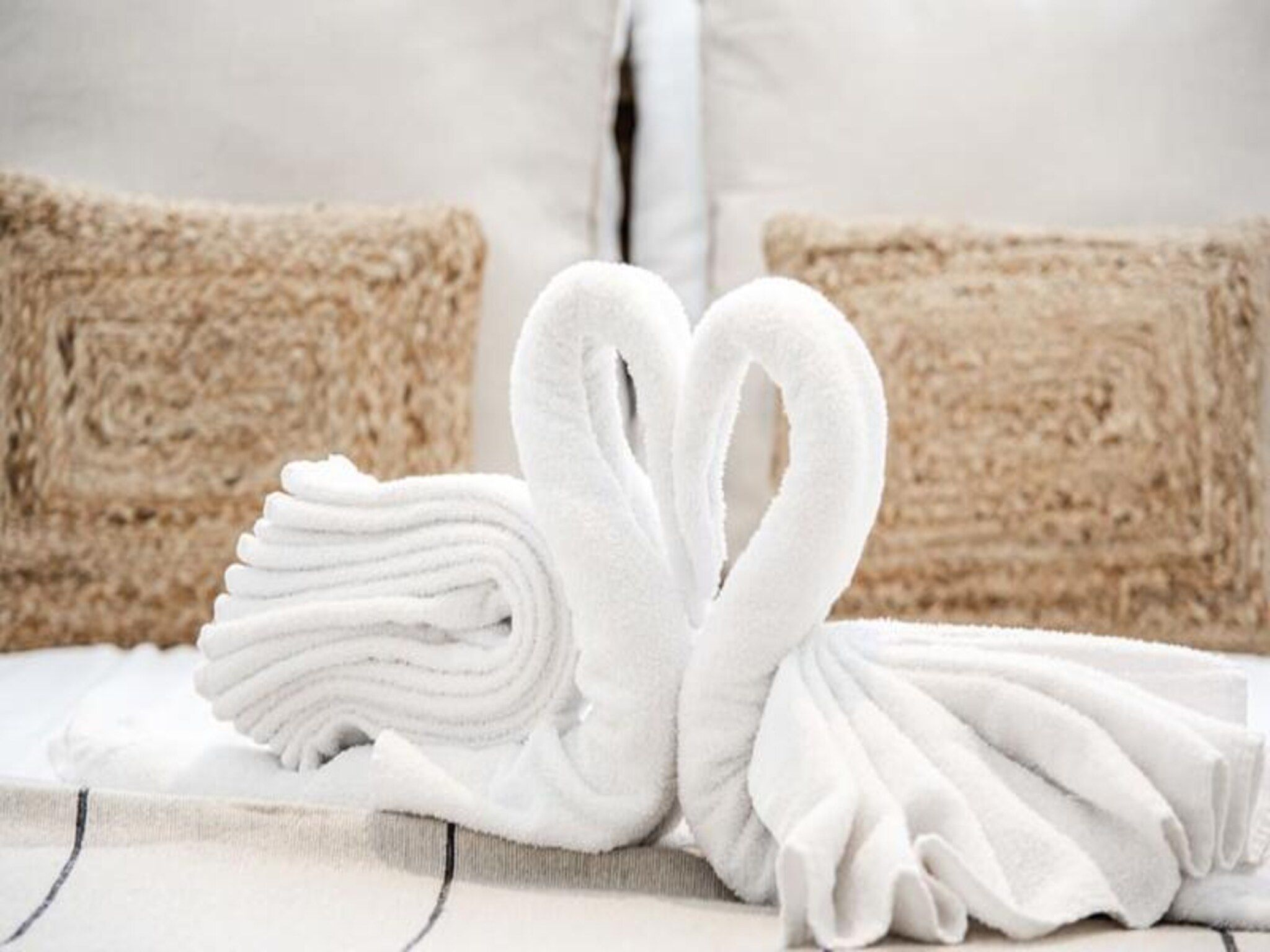 Yucca Beachhouse - Luxury Loft Apartment in Zandvoort - Foto 21 van 27