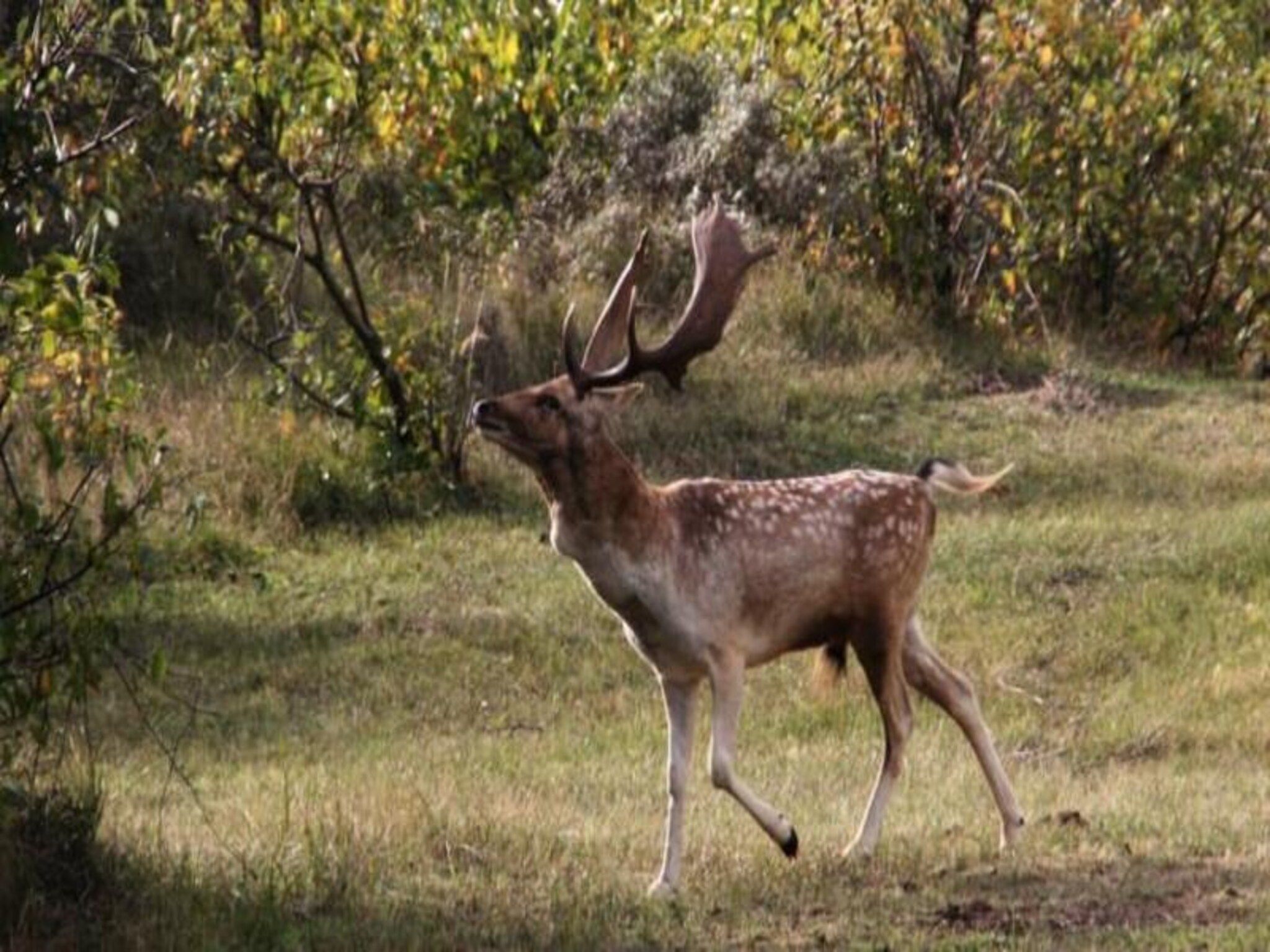 The Beach & Town Suite in Zandvoort - Foto 29 van 55