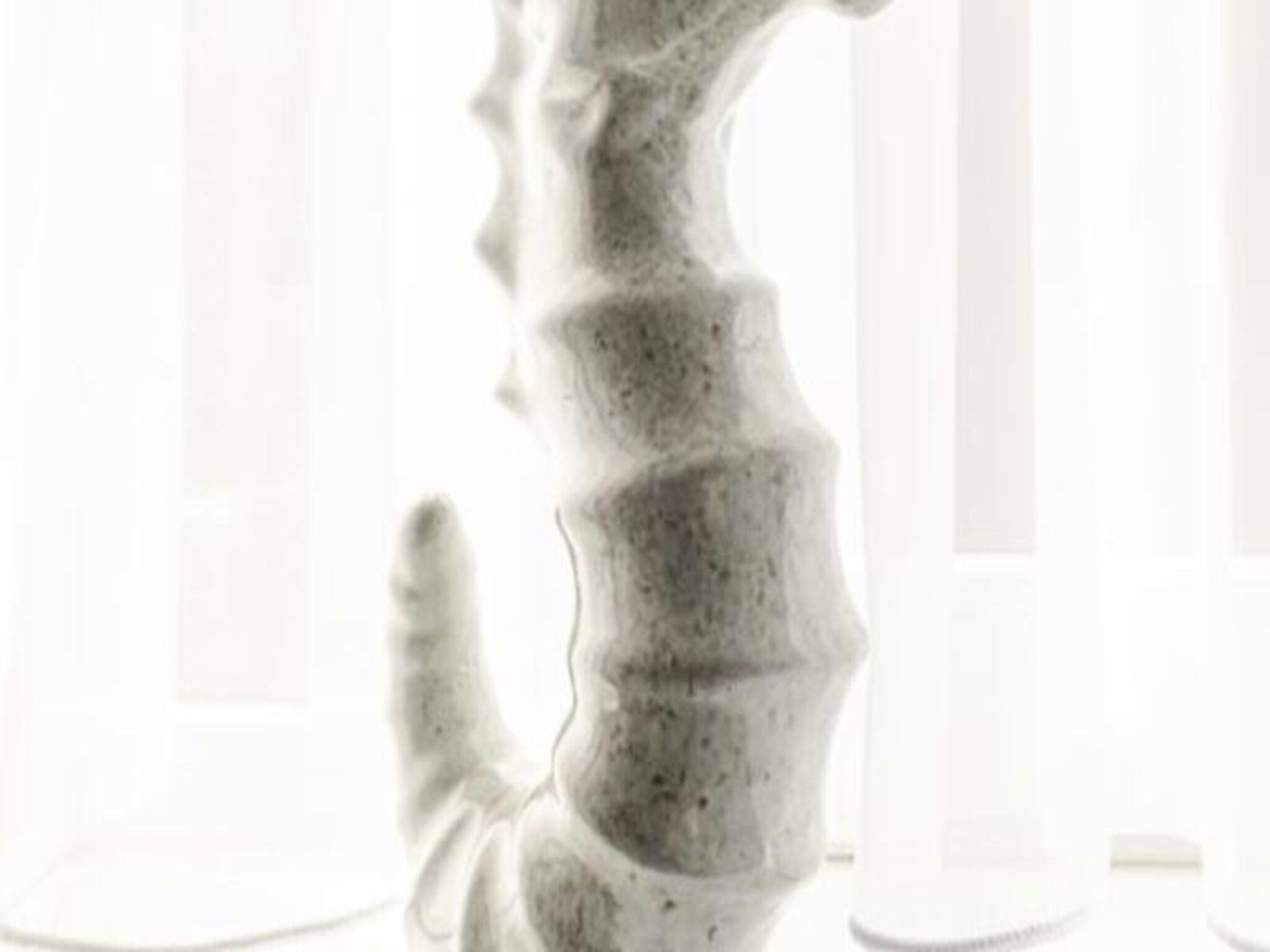 Beach And Dunes Studio in Zandvoort - Foto 24 van 33