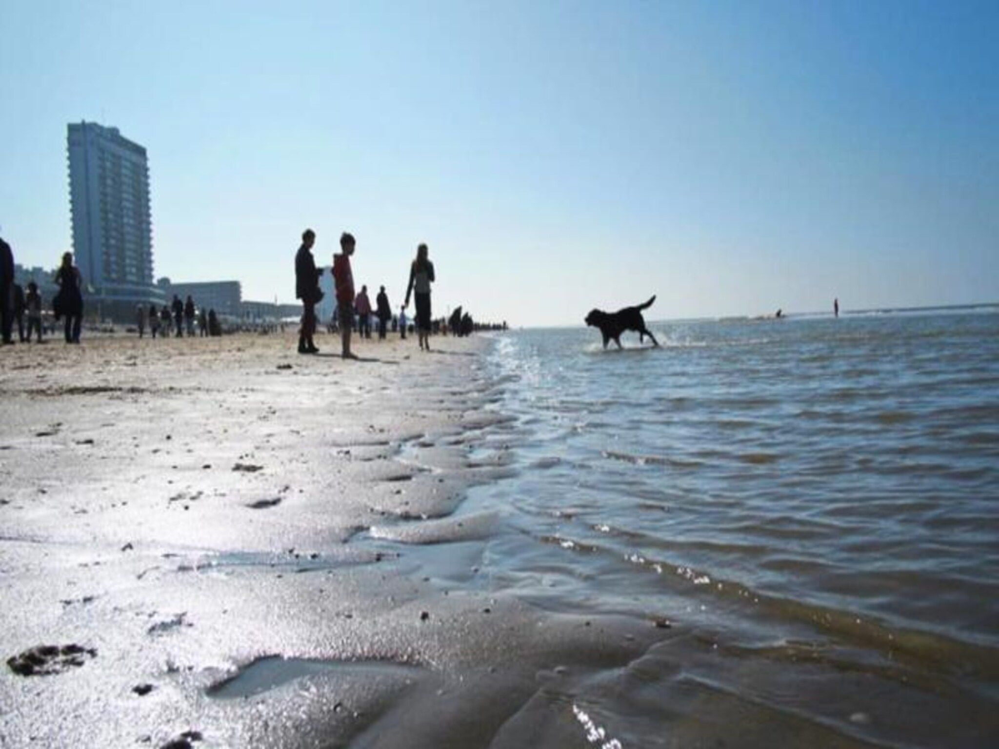 Studio Zwinkels in Zandvoort - Foto 27 van 29