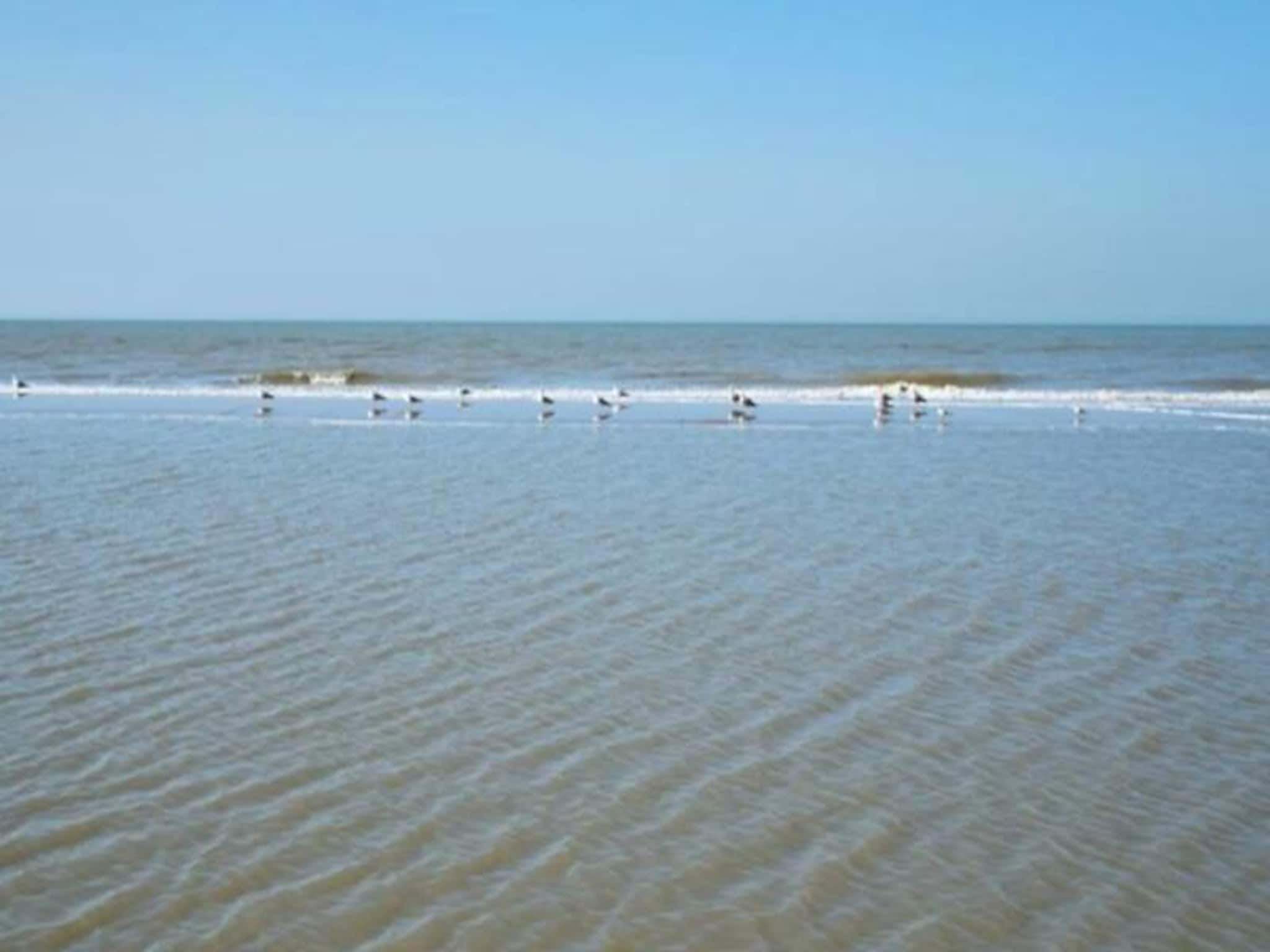 Studio Zwinkels in Zandvoort - Foto 29 van 29