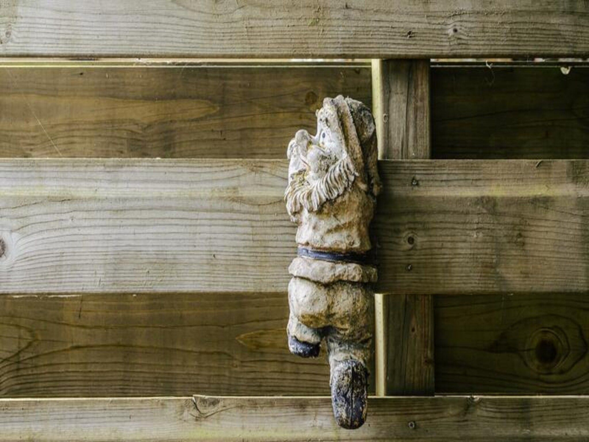 Chalet Zandvoort in Zandvoort - Foto 7 van 26