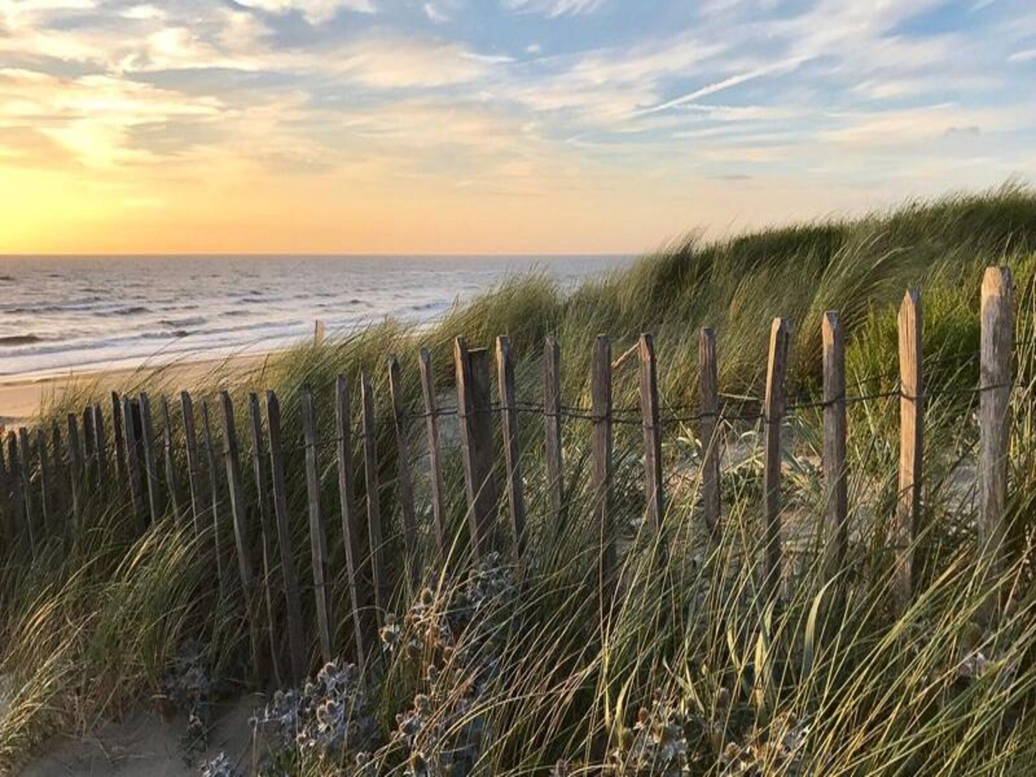 Milis Beach Cottage Zandvoort in Zandvoort - Foto 21 van 27