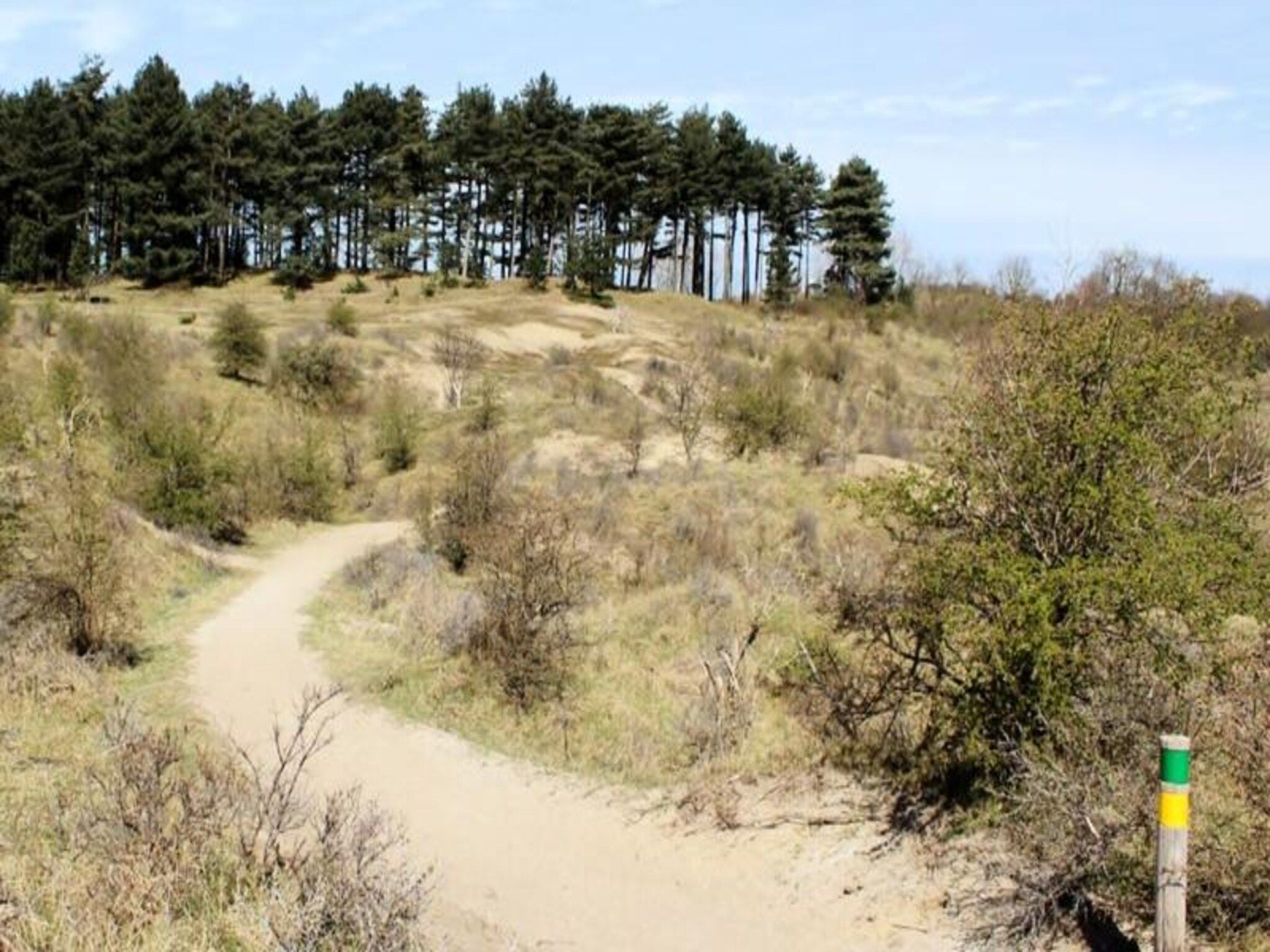 Milis Beach Cottage Zandvoort in Zandvoort - Foto 25 van 27