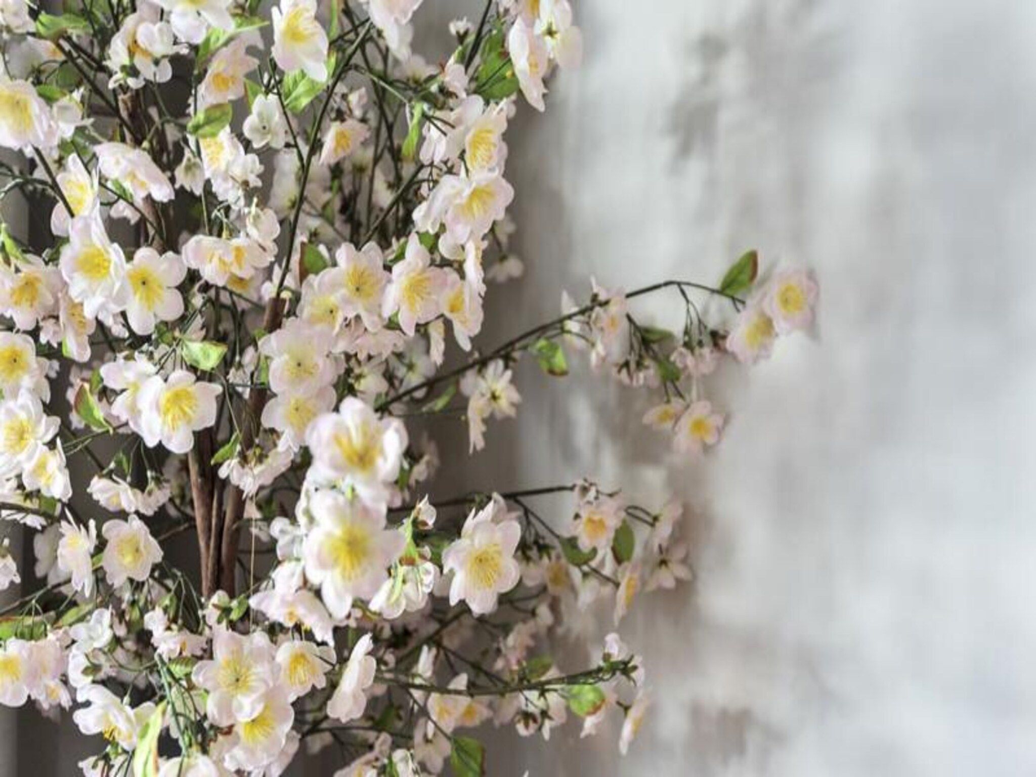 Boutique Pension Bennekom - Charming Guesthouse in Zandvoort - Foto 16 van 32