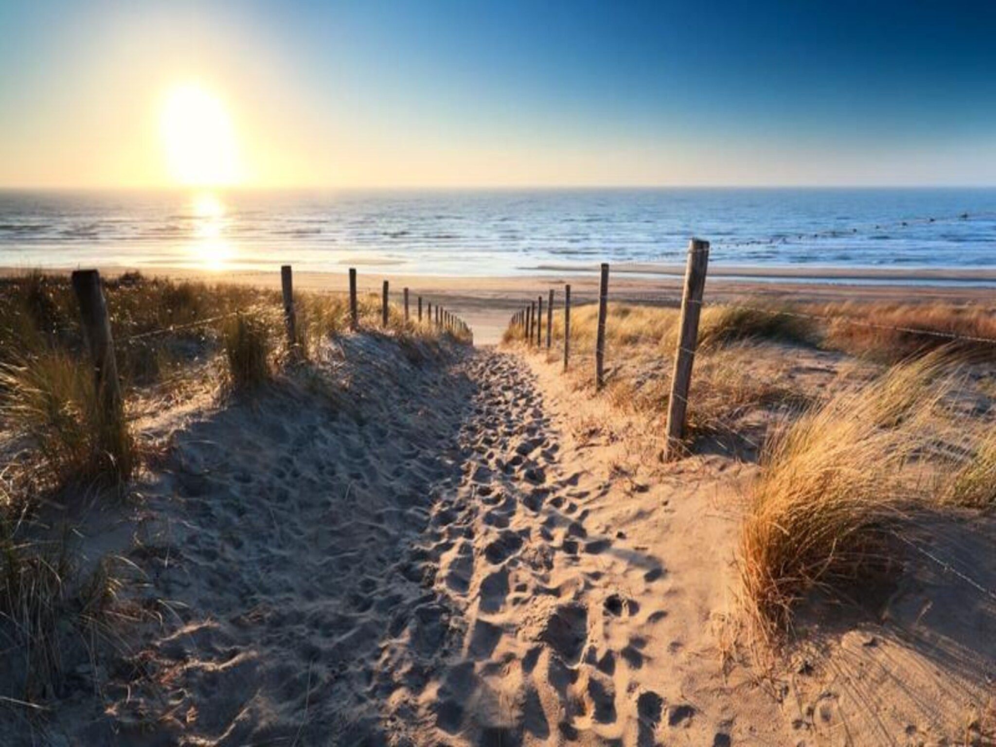 Yucca Apartment - Beachhouse Zandvoort in Zandvoort - Foto 26 van 28