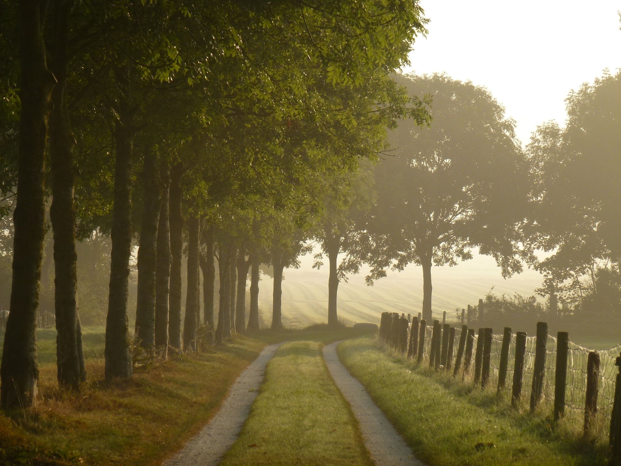 De omgeving van De Waske in Warns