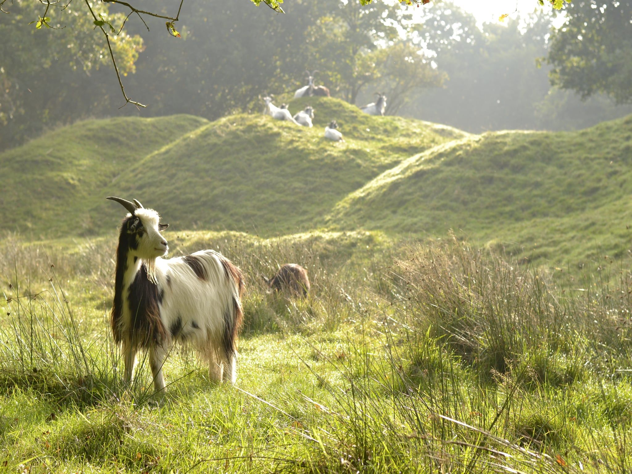 De omgeving van De Waske in Warns