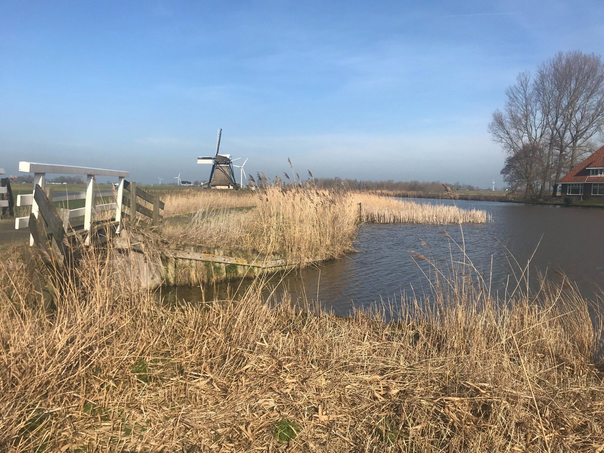 De omgeving van De Waske in Warns