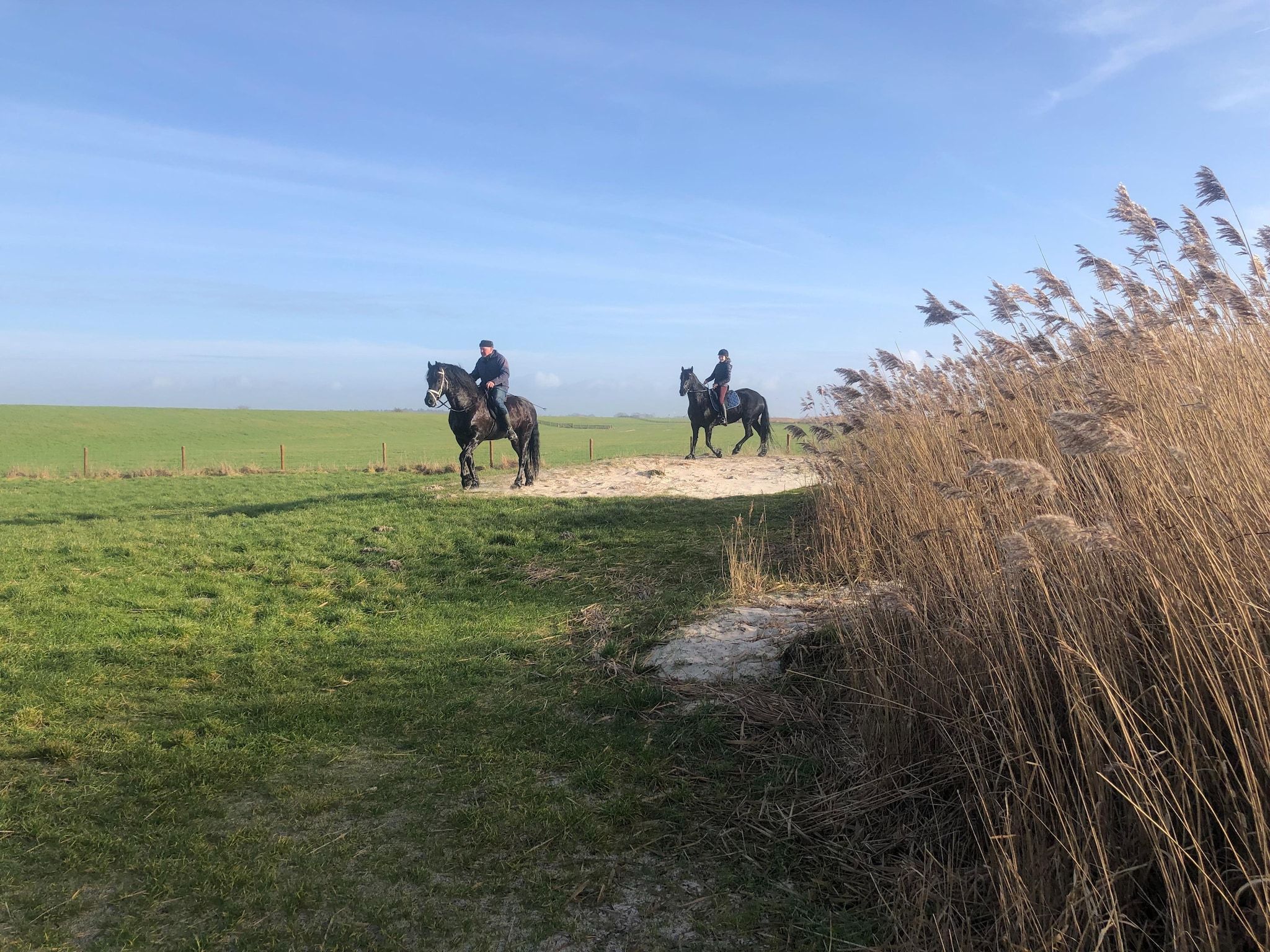 De omgeving van De Waske in Warns