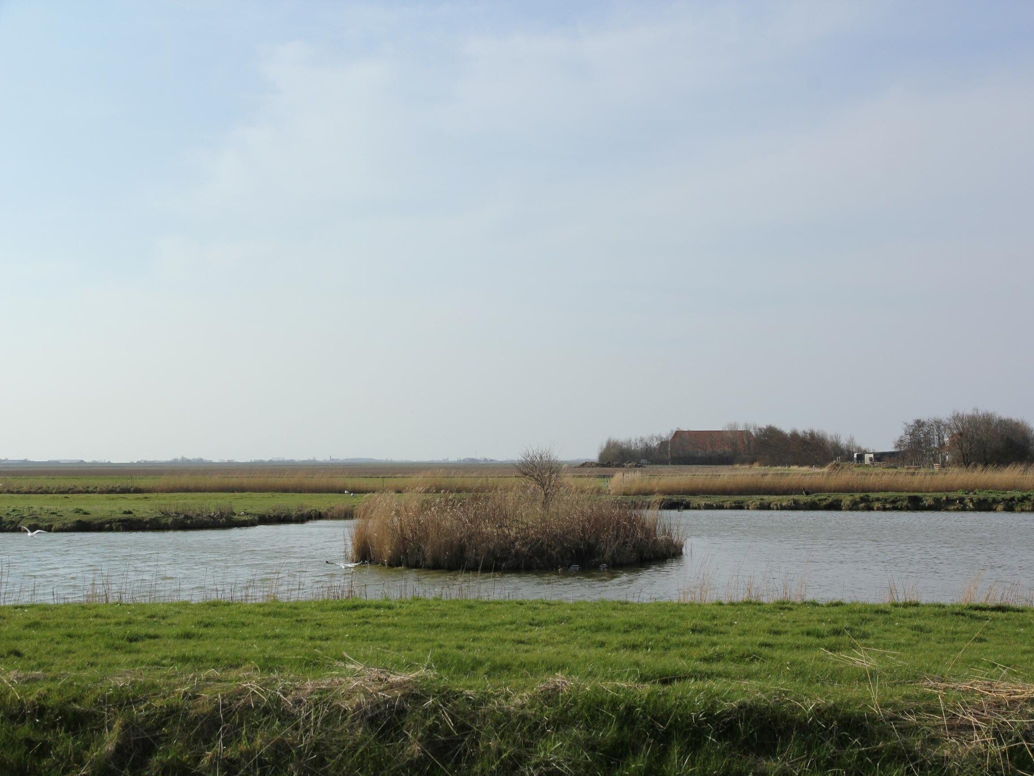De omgeving van De Witte Parel in Den Burg