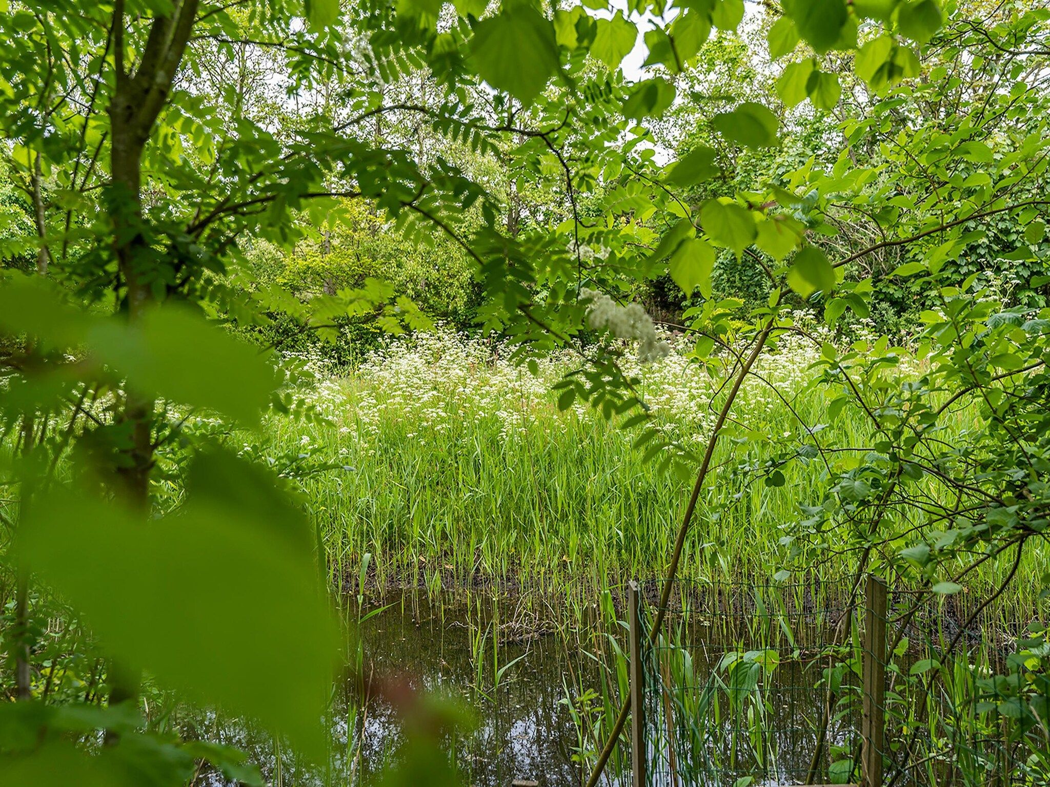 De tuin van Noorderlicht in De Cocksdorp