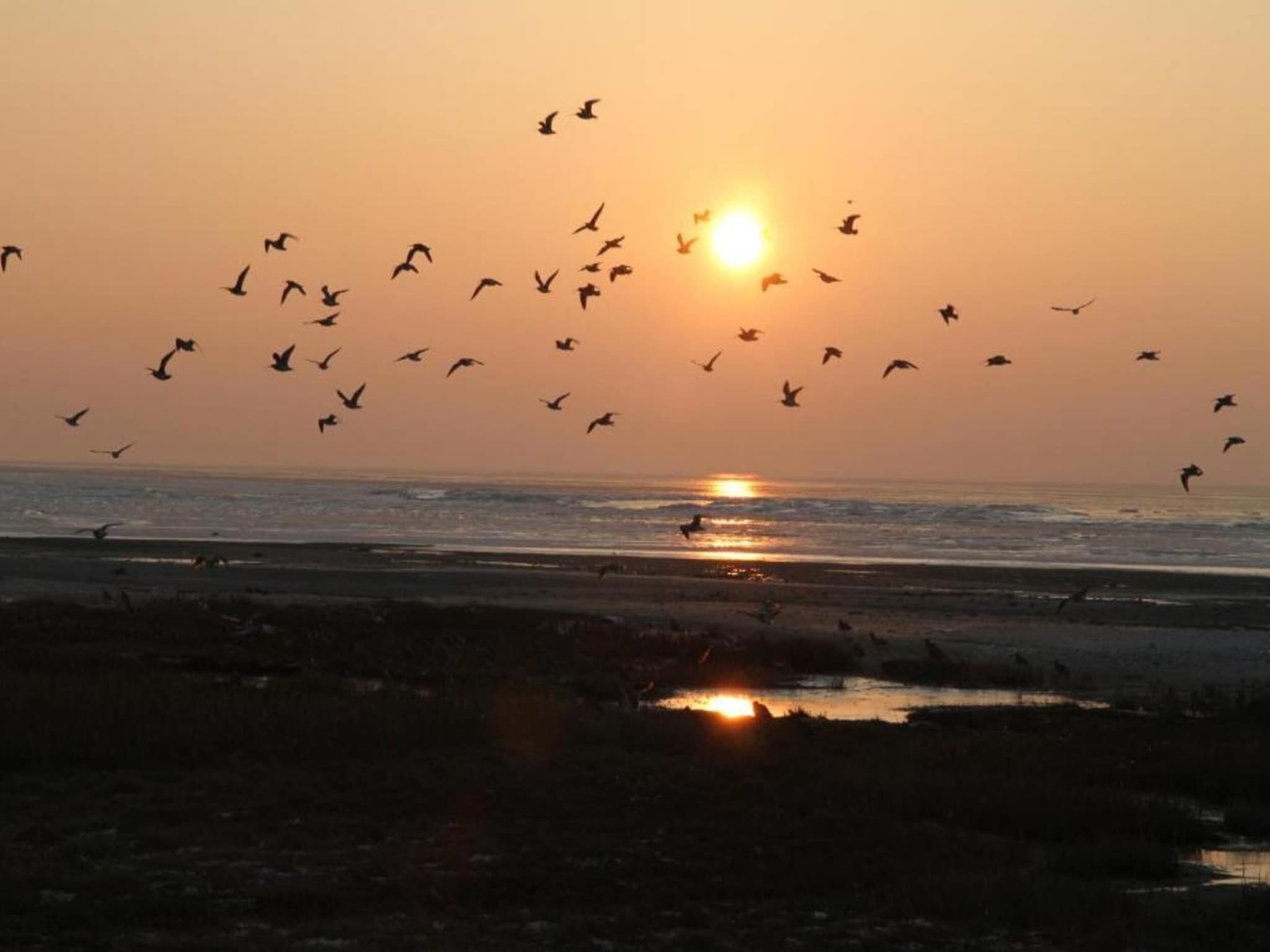 Comfort Chalet in Hollum - Foto 14 van 35