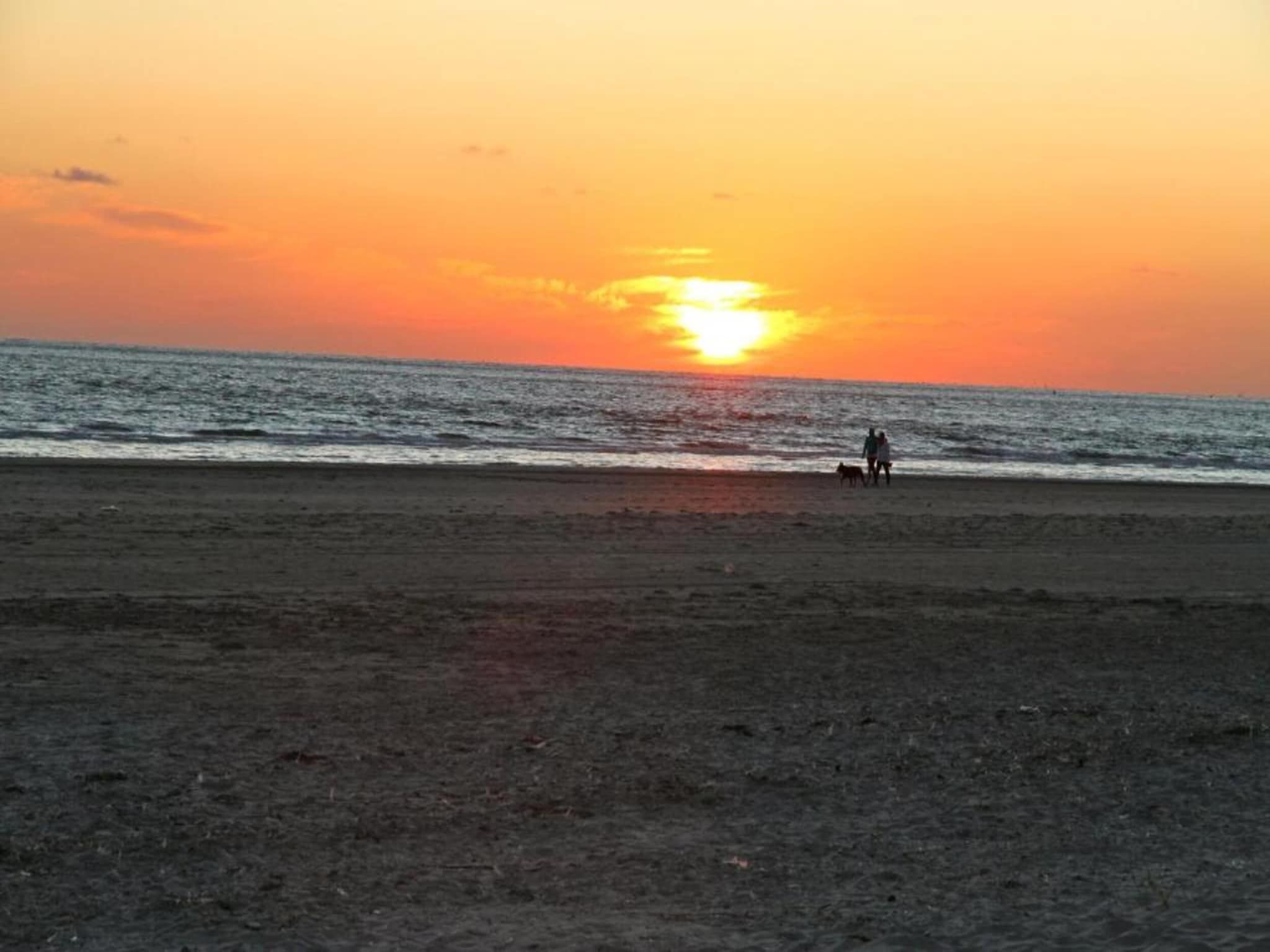 Comfort Chalet in Hollum - Foto 31 van 35