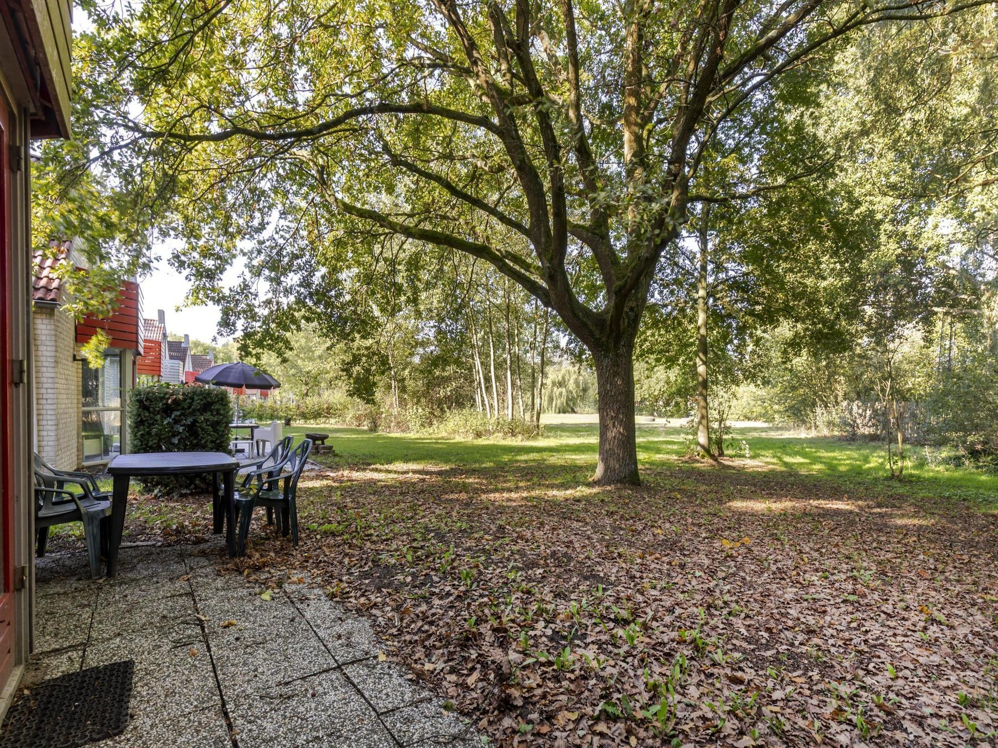 Het terras van 6 - Persons De Zingende Wilg (copy) (copy) in Ewijk