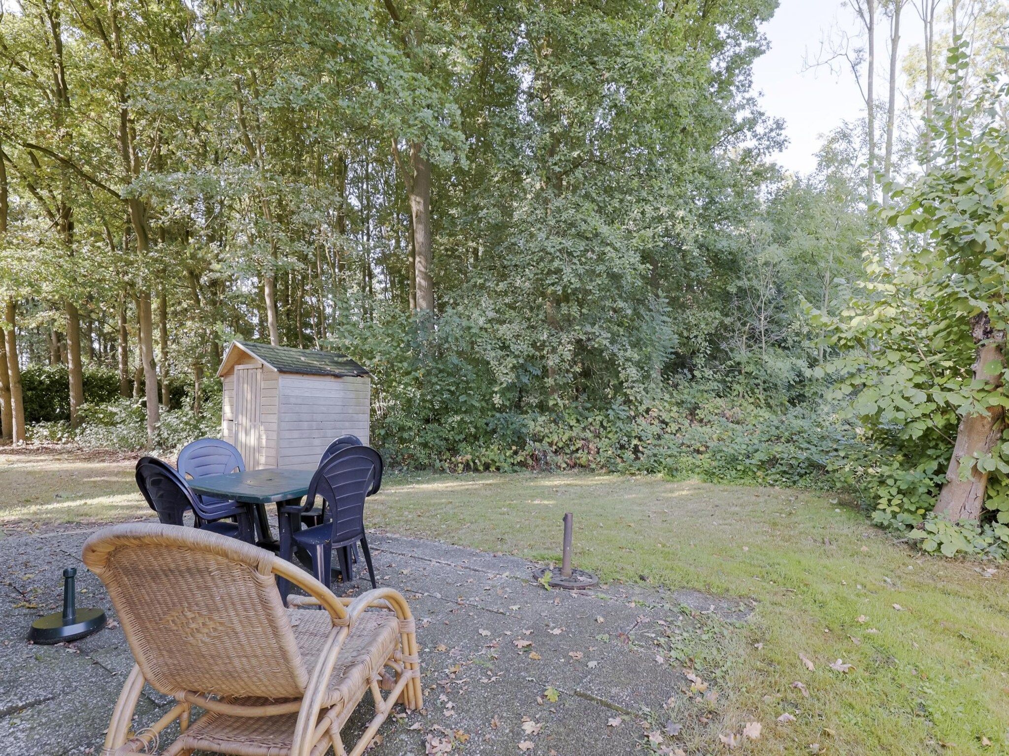 Het terras van 7 - Persoons Forest 217 Sauna Bungalow (copy) (copy) in Ewijk