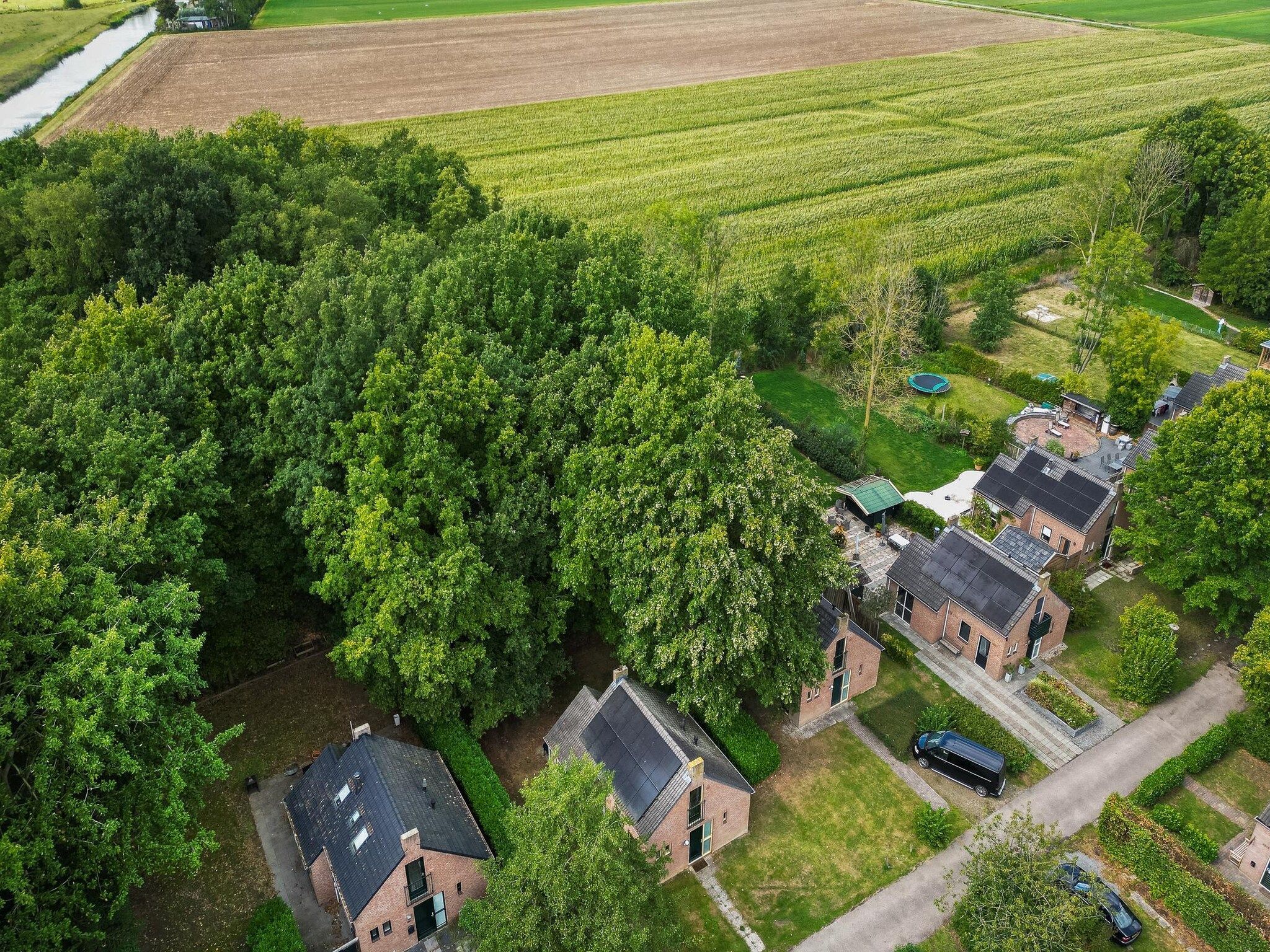 De omgeving van 7 - Persoons Forest 217 Sauna Bungalow (copy) (copy) in Ewijk