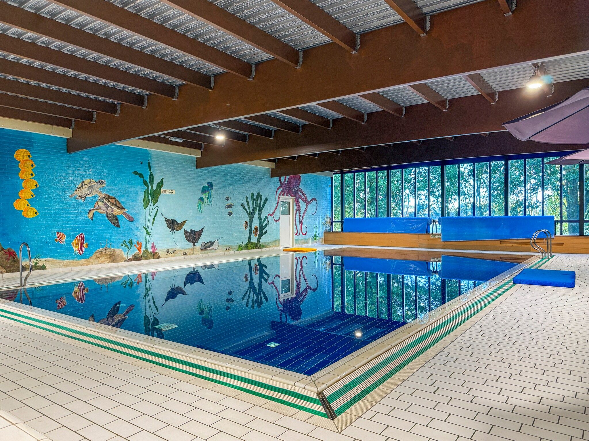 7 - Persoons Forest 217 Sauna Bungalow (copy) (copy) (copy) in Ewijk - Foto 32 van 34