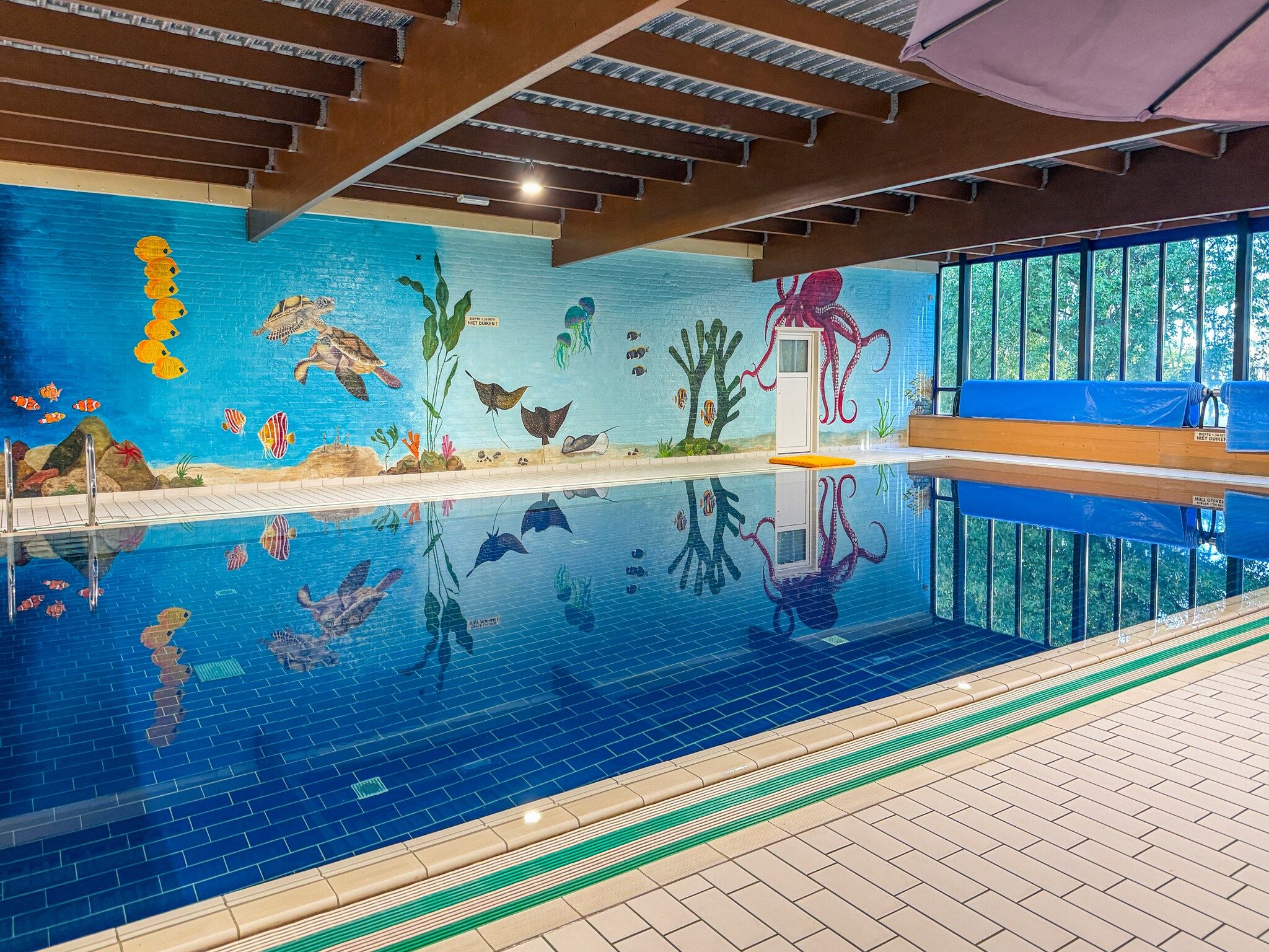 7 - Persoons Forest 217 Sauna Bungalow (copy) (copy) (copy) in Ewijk - Foto 2 van 34