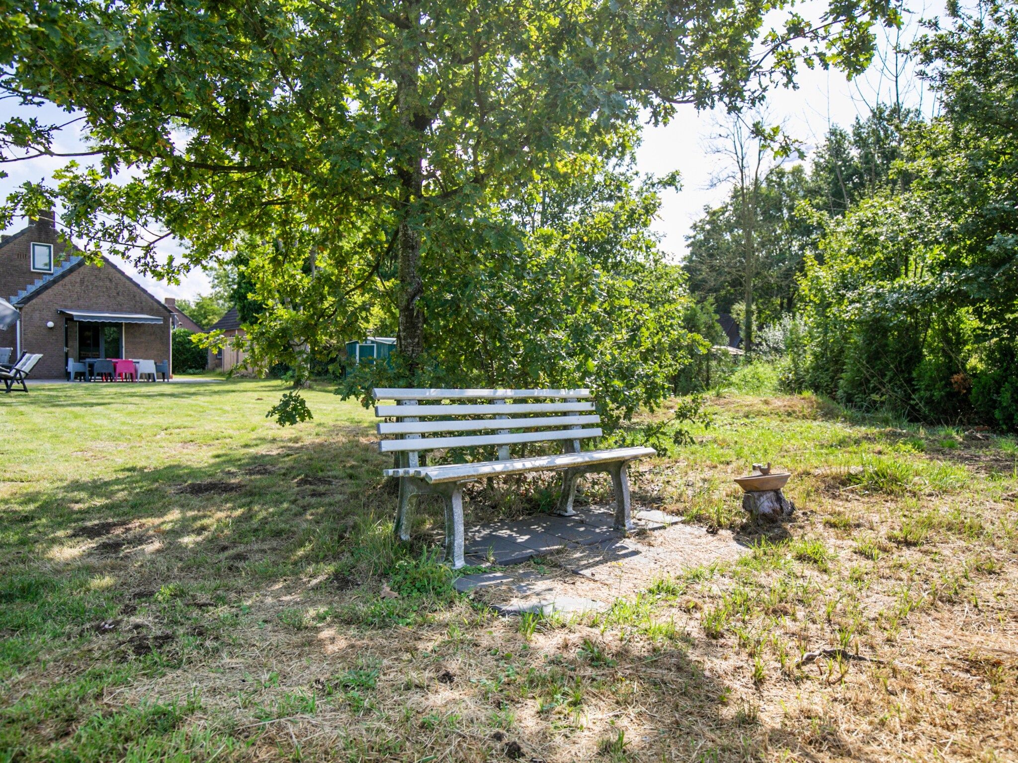 De tuin van 7 - Persoons Forest 217 Sauna Bungalow (copy) (copy) (copy) in Ewijk