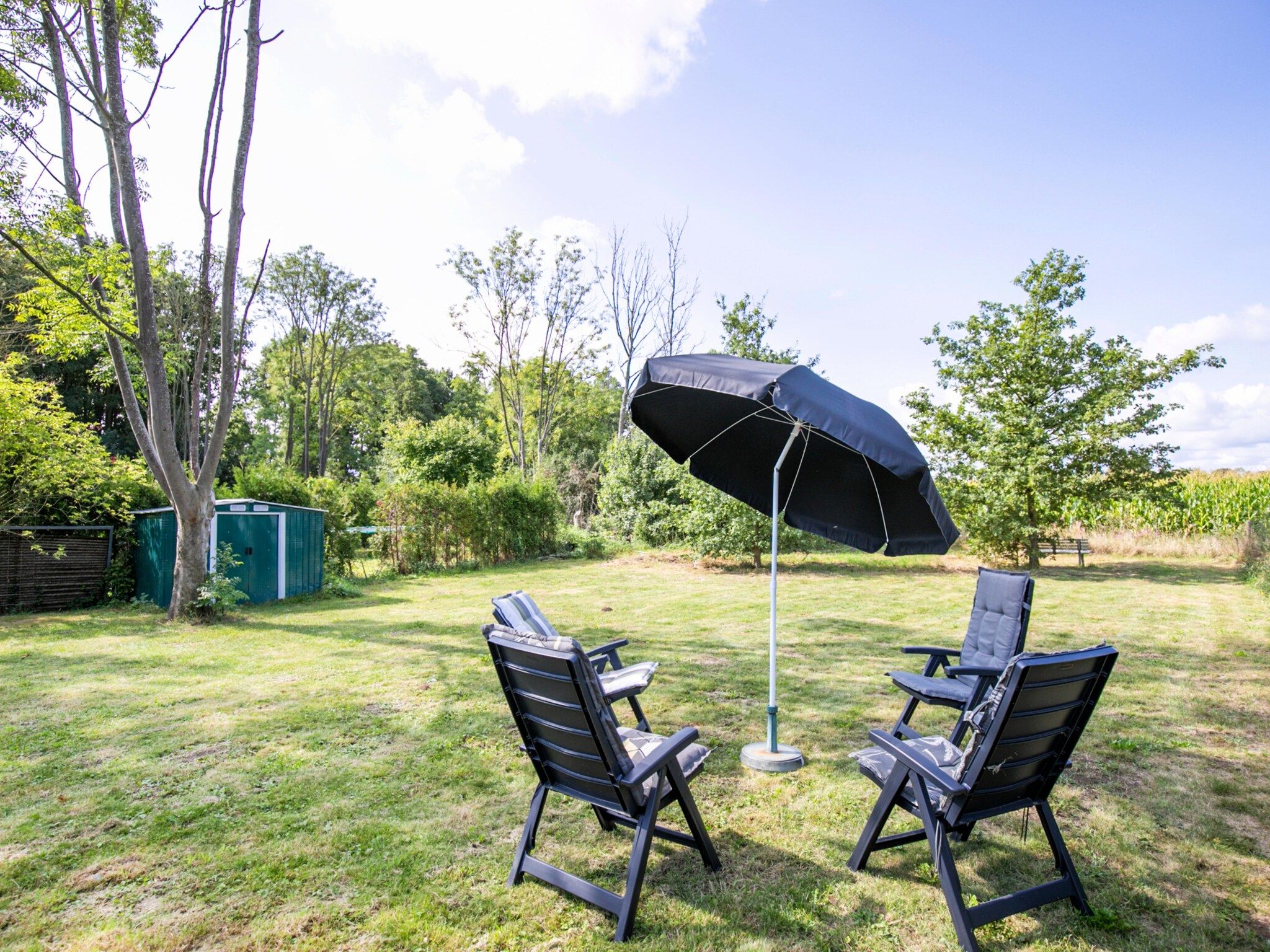 Het terras van 7 - Persoons Forest 217 Sauna Bungalow (copy) (copy) (copy) in Ewijk